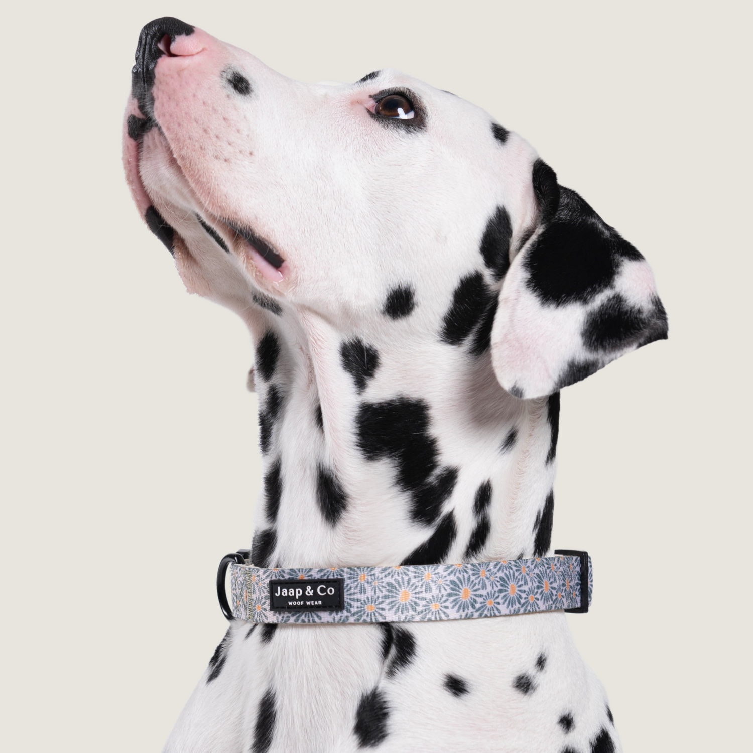 Floral Memories hondenhalsband van Jaap & Co. Ook mogelijk om bijpassende riem en poepzakjeshouder verkrijgbaar