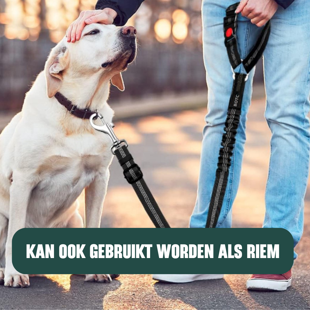 Autogordel - Veiligheidsriem Hond