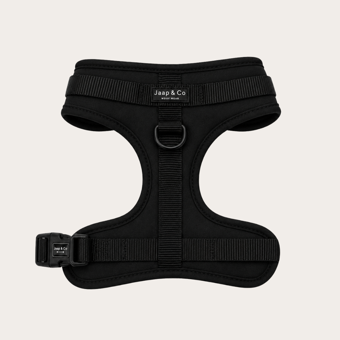 Black Paws Waterproof - Hondentuigje