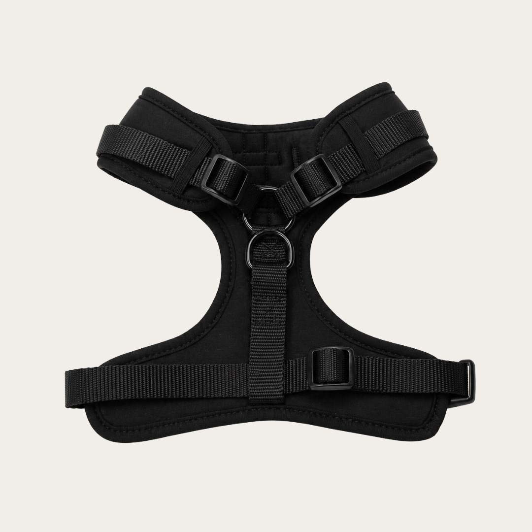 Black Paws Waterproof - Hondentuigje