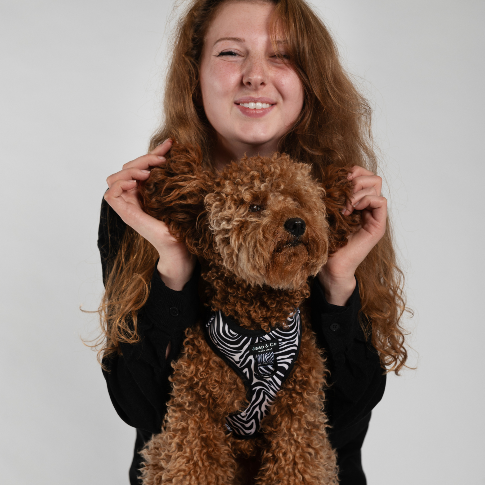 Zebra Chic - Hondentuigje