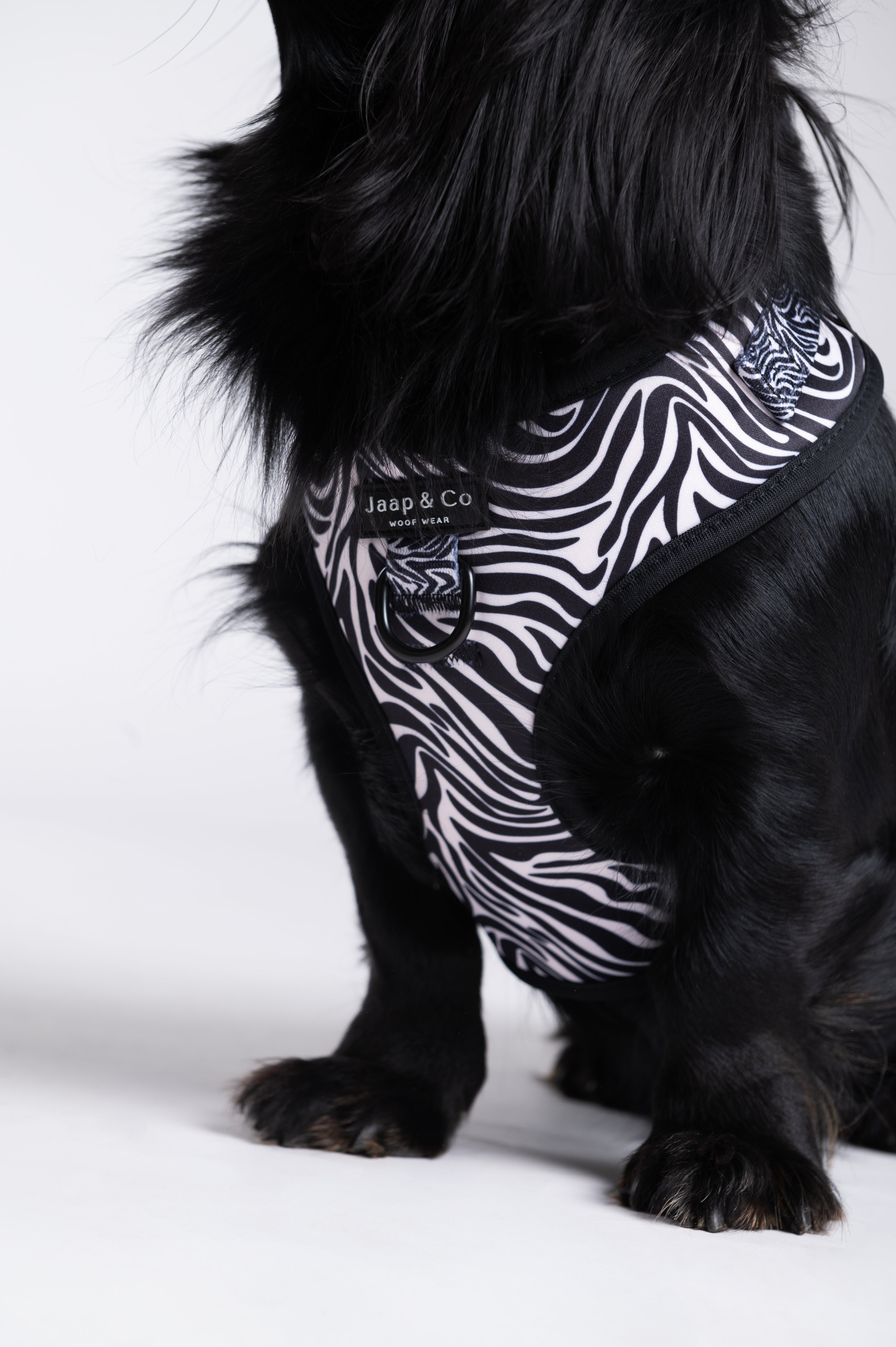 Zebra Chic - Dog Harness