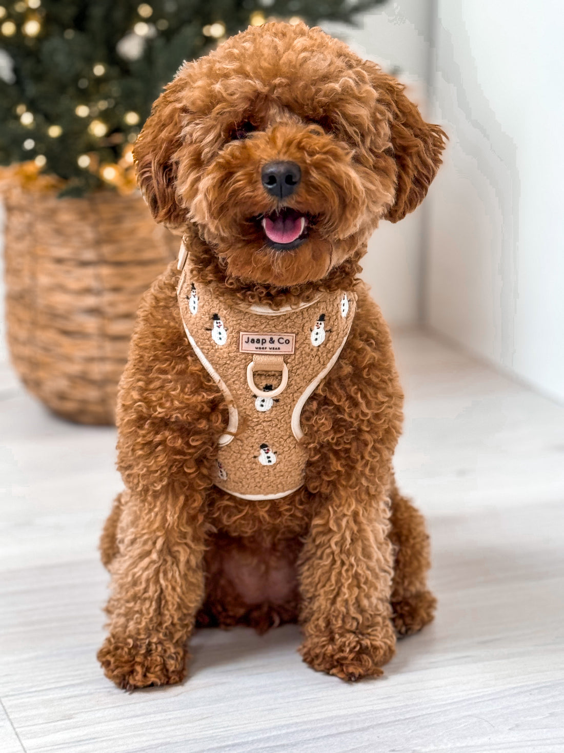 Snowman Snuggles - Hondentuigje