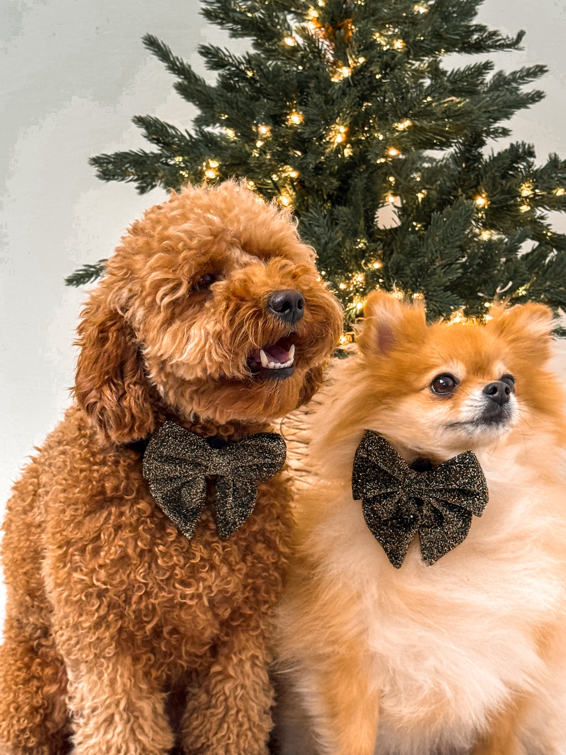 Bow Tie New Year Spark