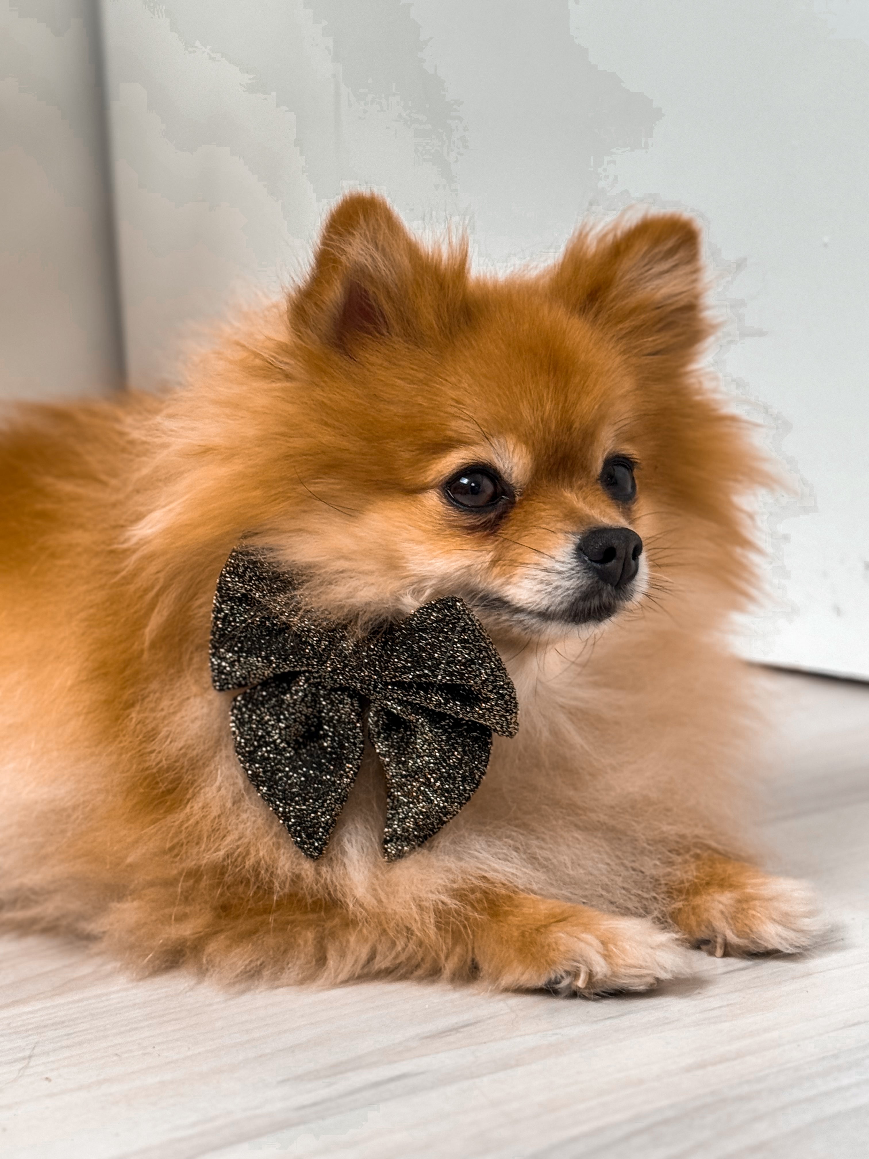 Bow Tie New Year Spark