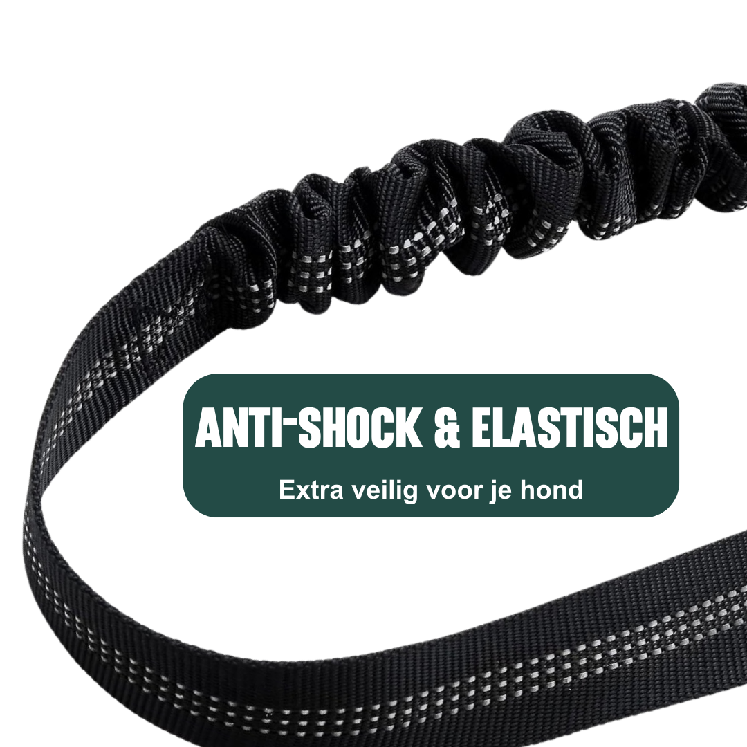 Autogordel - Veiligheidsriem Hond