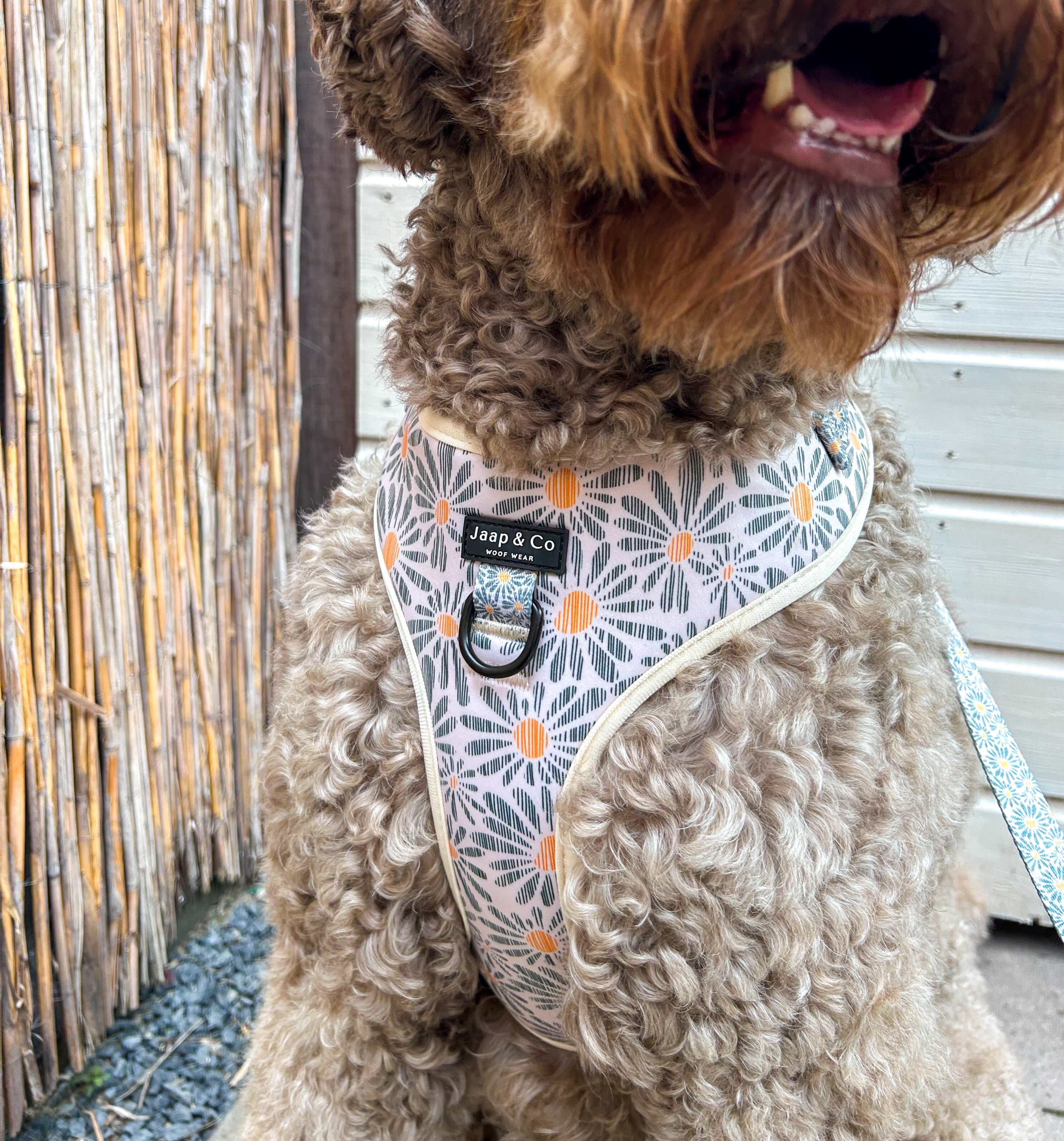 Floral Memories - Hondentuig