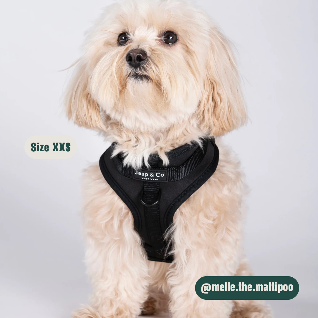 Black Paws Waterproof - Set Tuigje