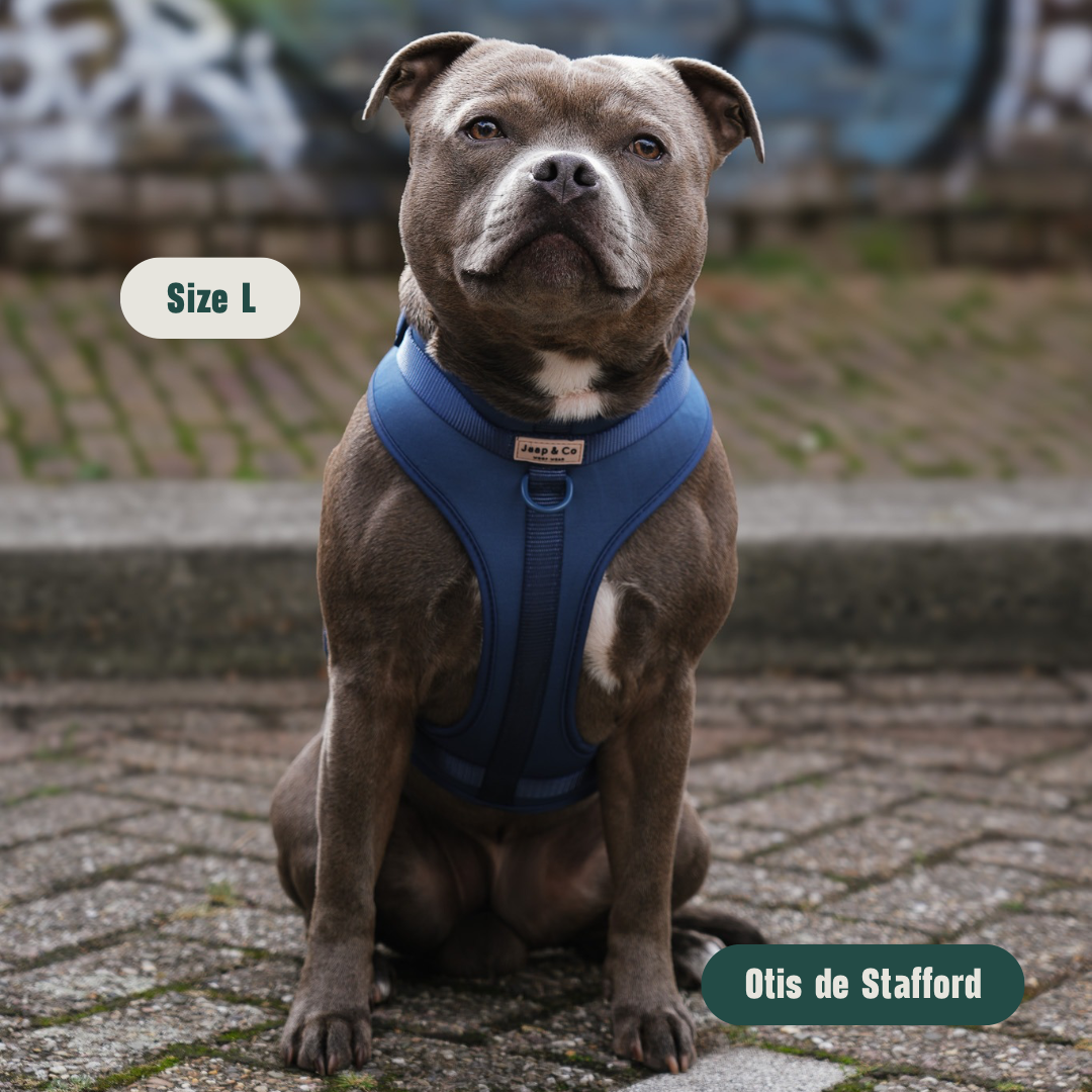 Bold Blue Waterproof - Hondentuigje