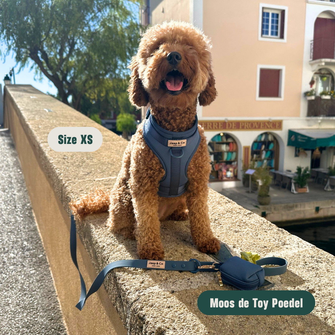 Bold Blue Waterproof - Hondentuigje