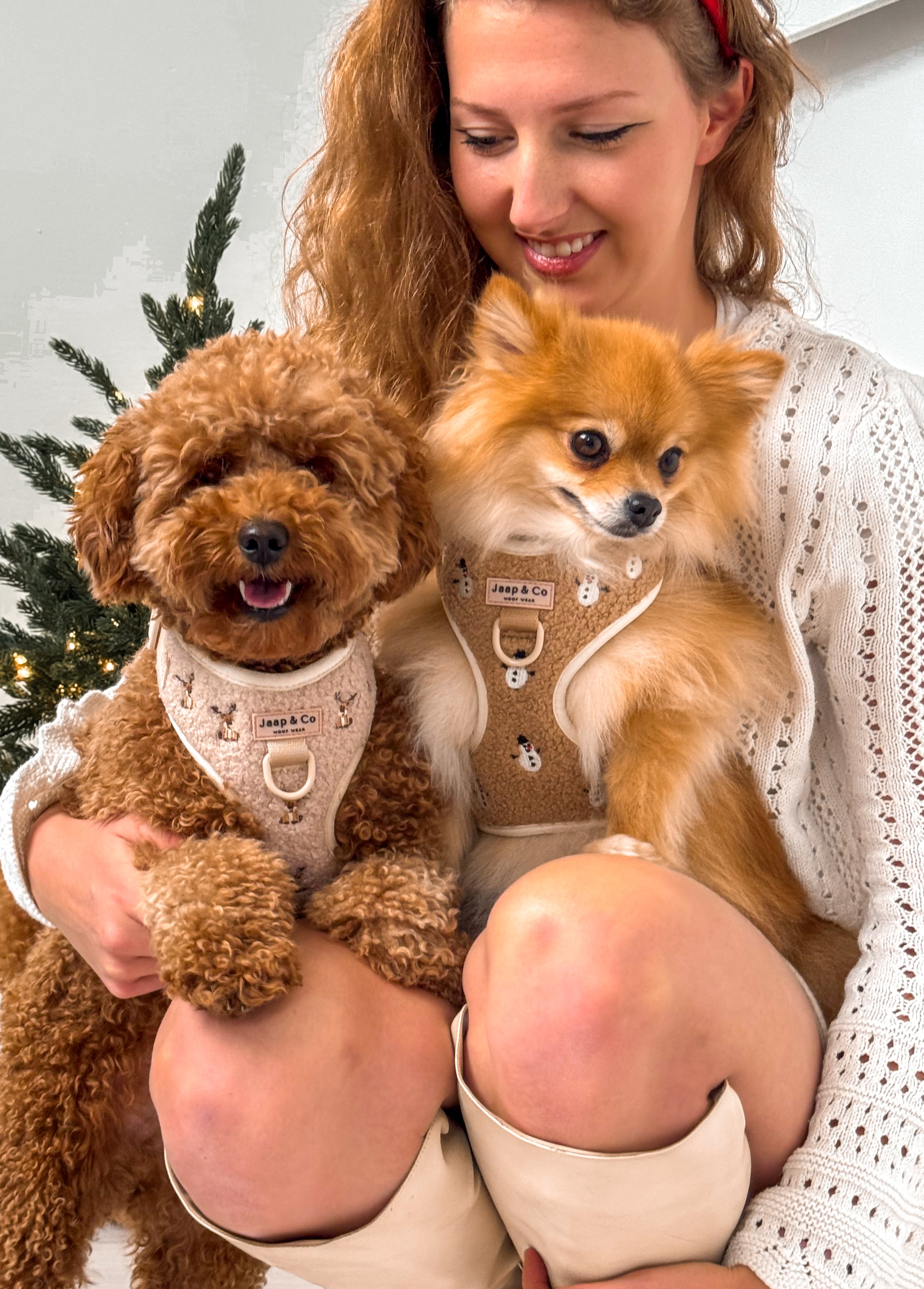 Cosy Reindeer - Hondentuigje