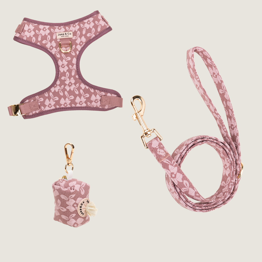 Rosé Dusk - Set Tuigje (MATEN XS, S ZIJN EEN PRE-ORDER)