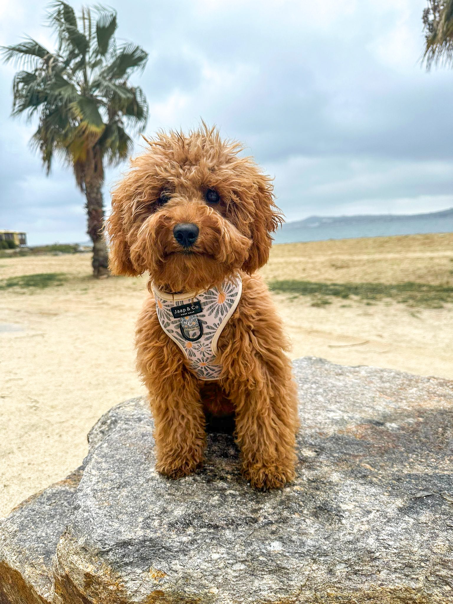 Floral Memories - Set Tuigje