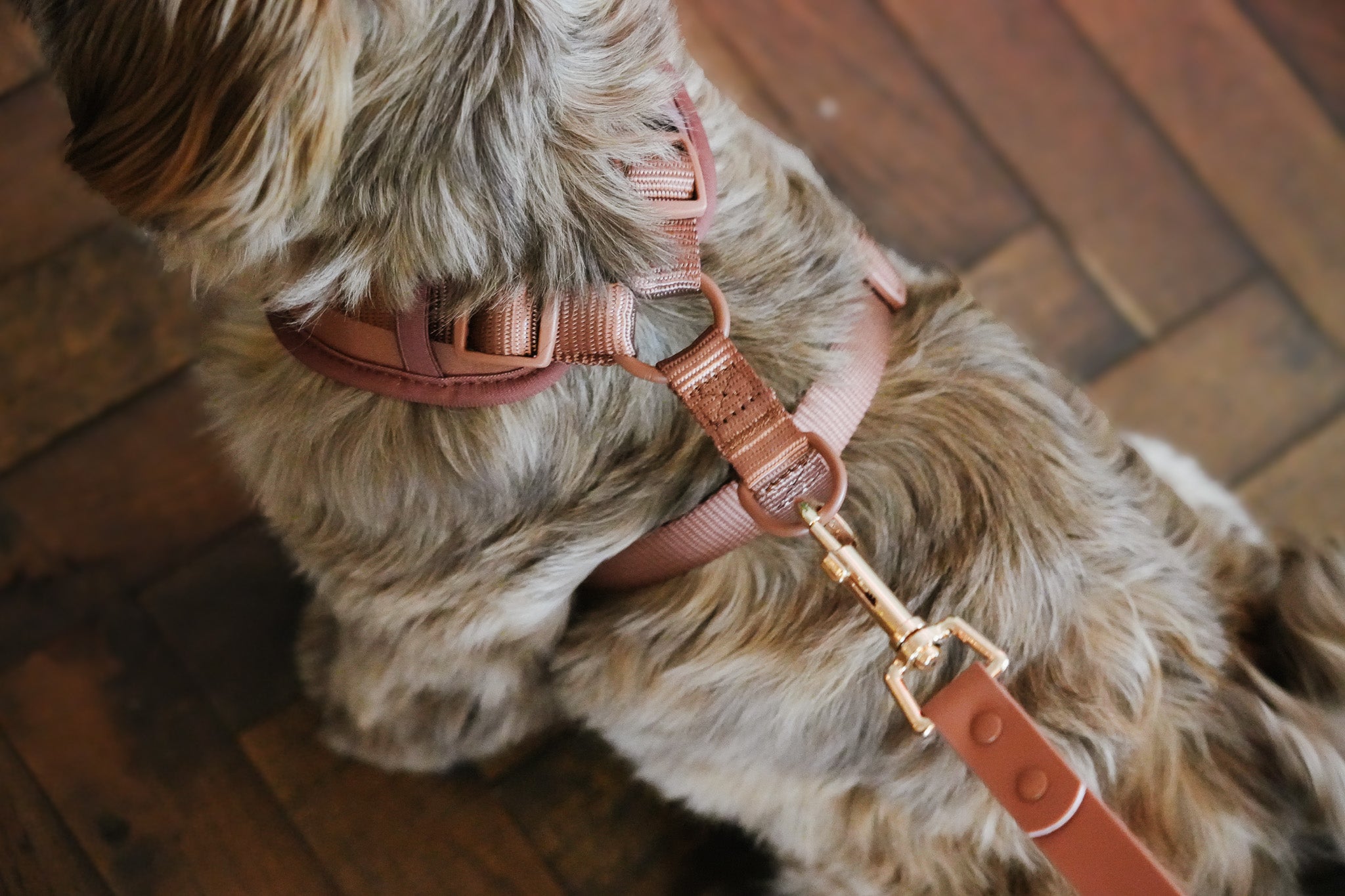 Mocha Mousse Waterproof - Hondentuigje (MAAT XS, S, M PRE-ORDER)