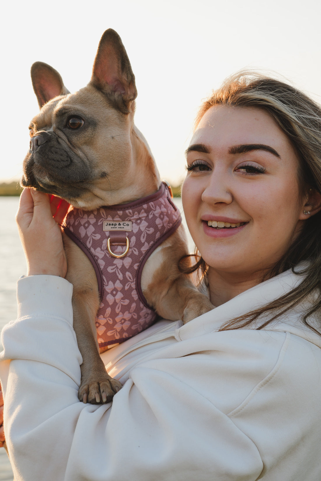 Rosé Dusk - Dog Harness