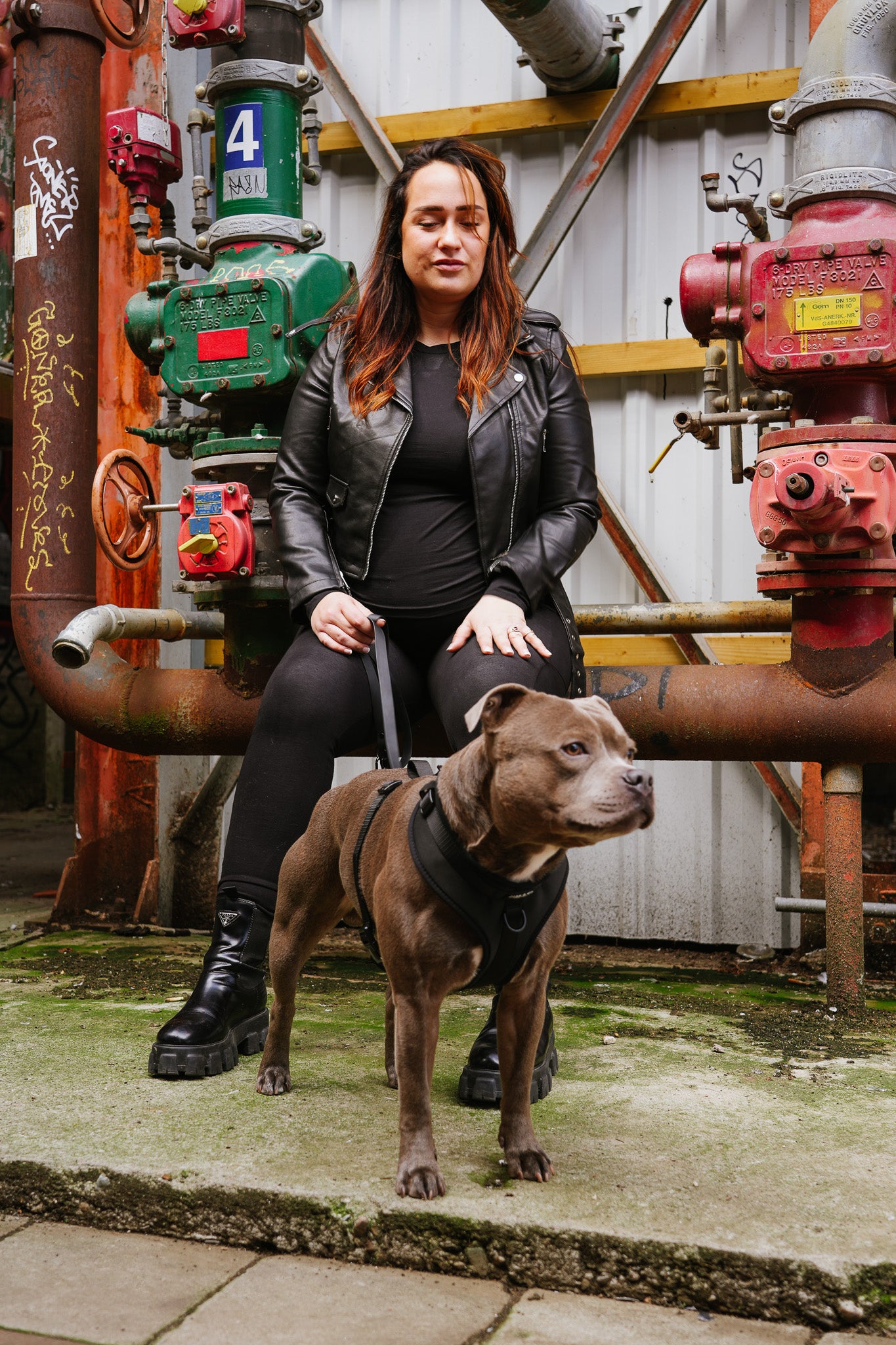 Black Paws Waterproof - Dog Harness