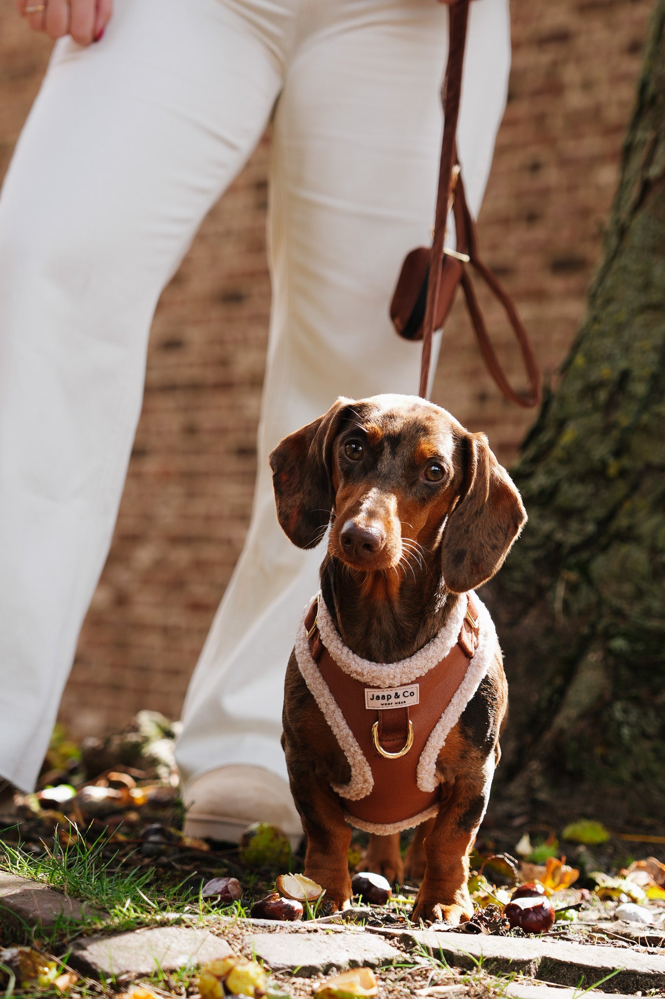 Soft Season Set Tuigje PRE-ORDER