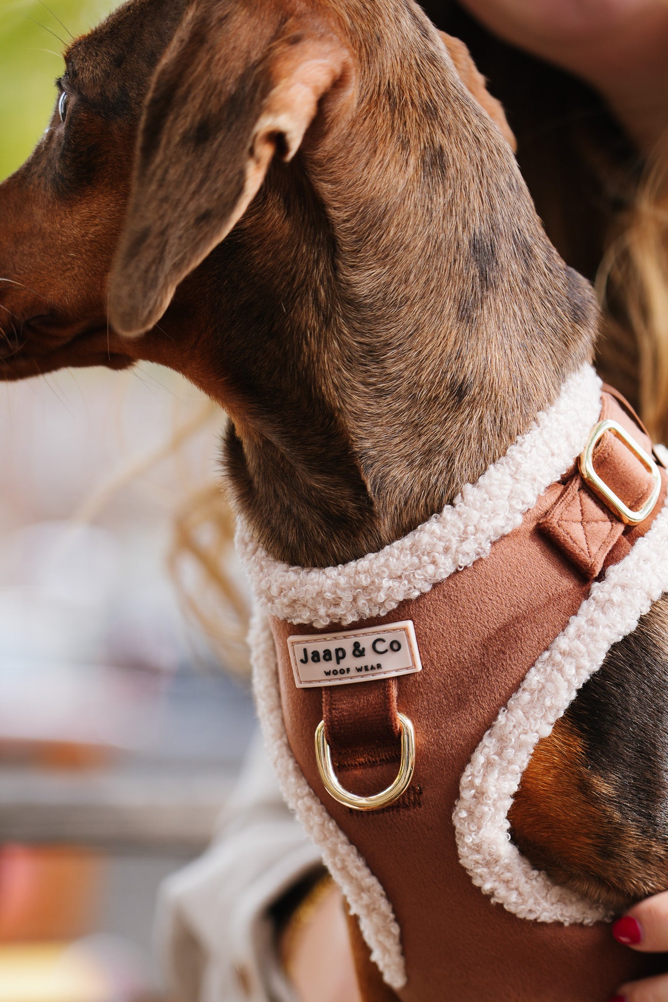 Soft Season - Hondentuigje