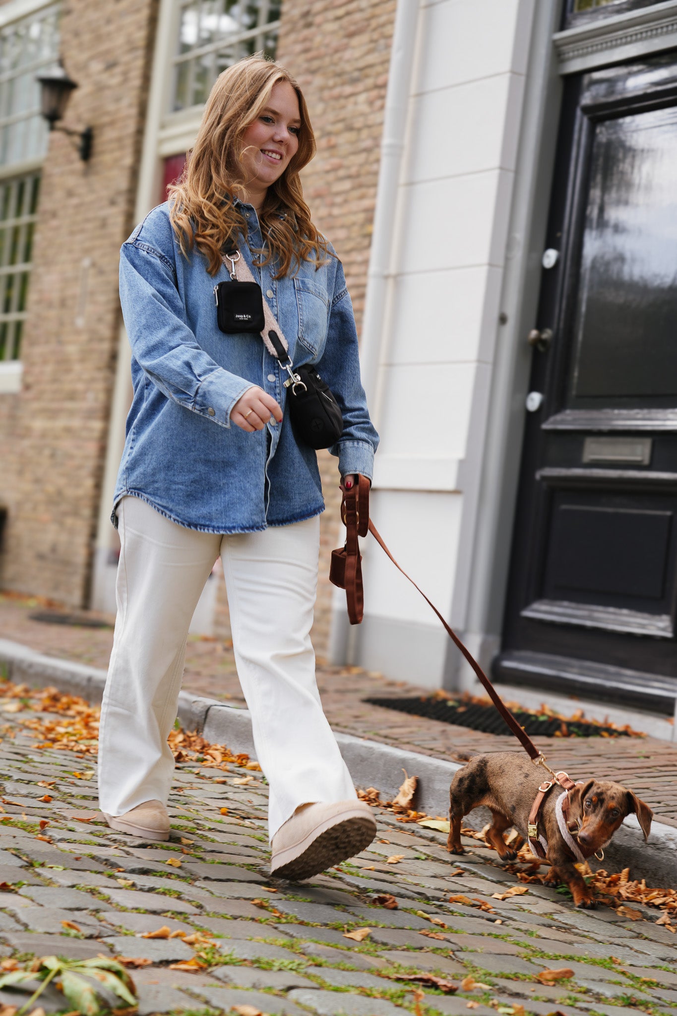 Classic Black Dogmom Bag - Soft Season Strap
