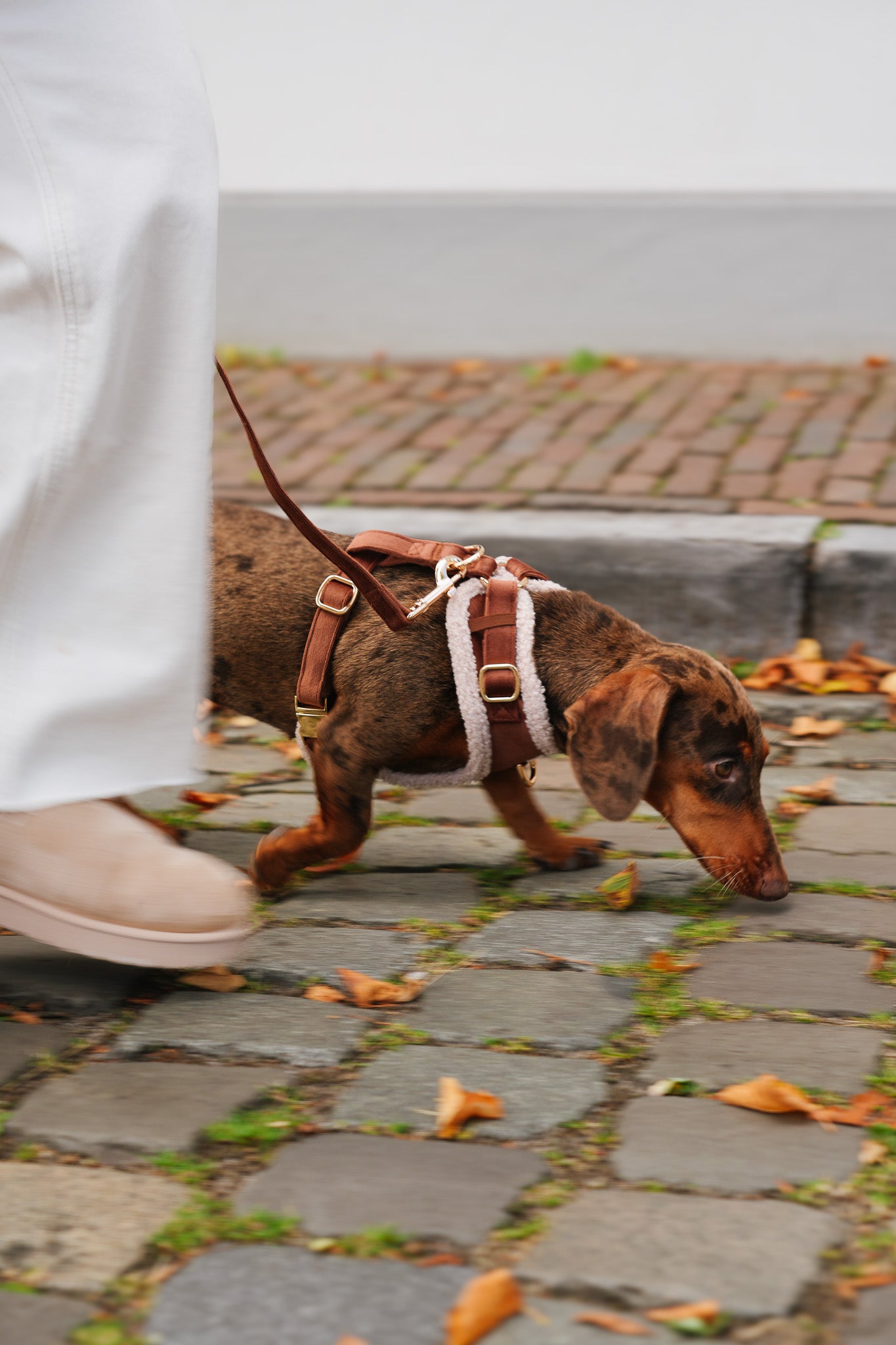 Soft Season Set Tuigje PRE-ORDER