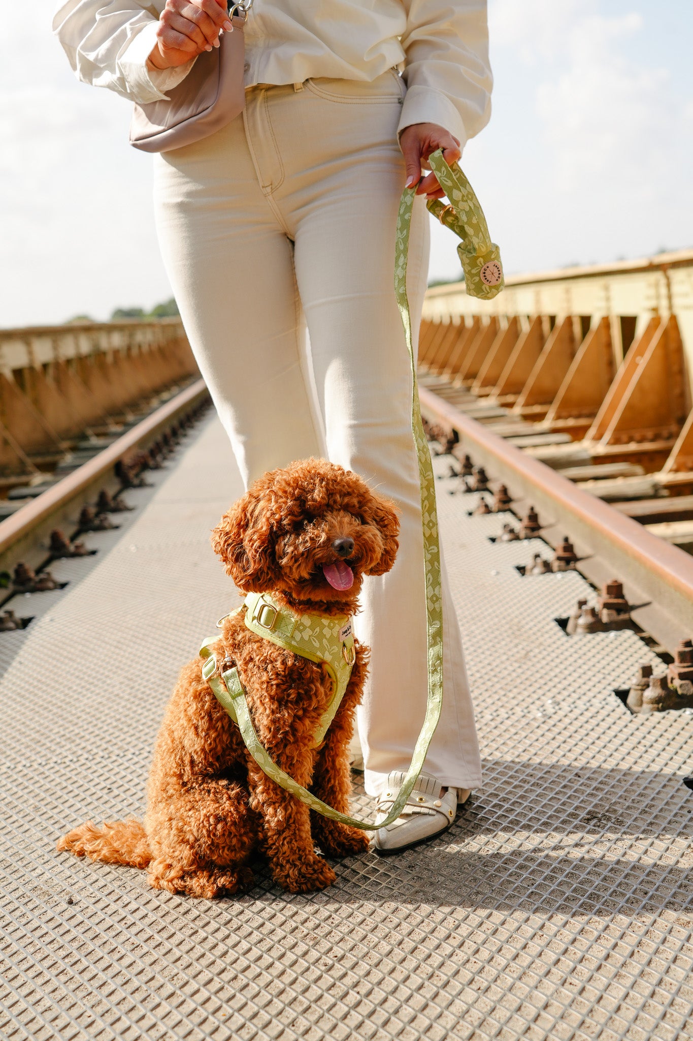 Botanical Glow - Hondentuigje