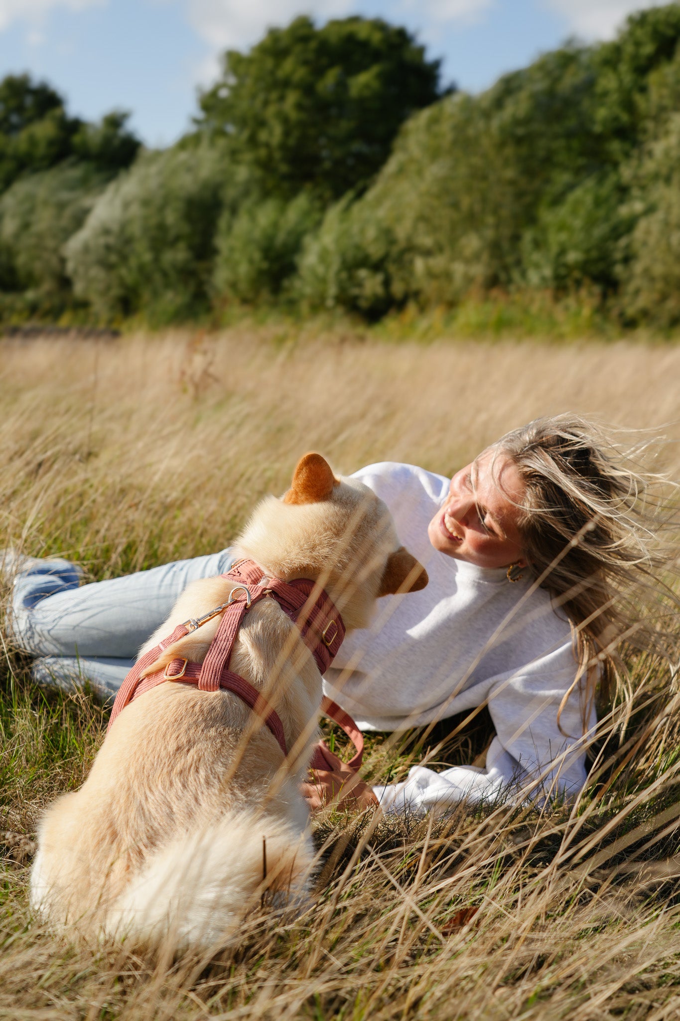 Golden Trails - Hondentuigje