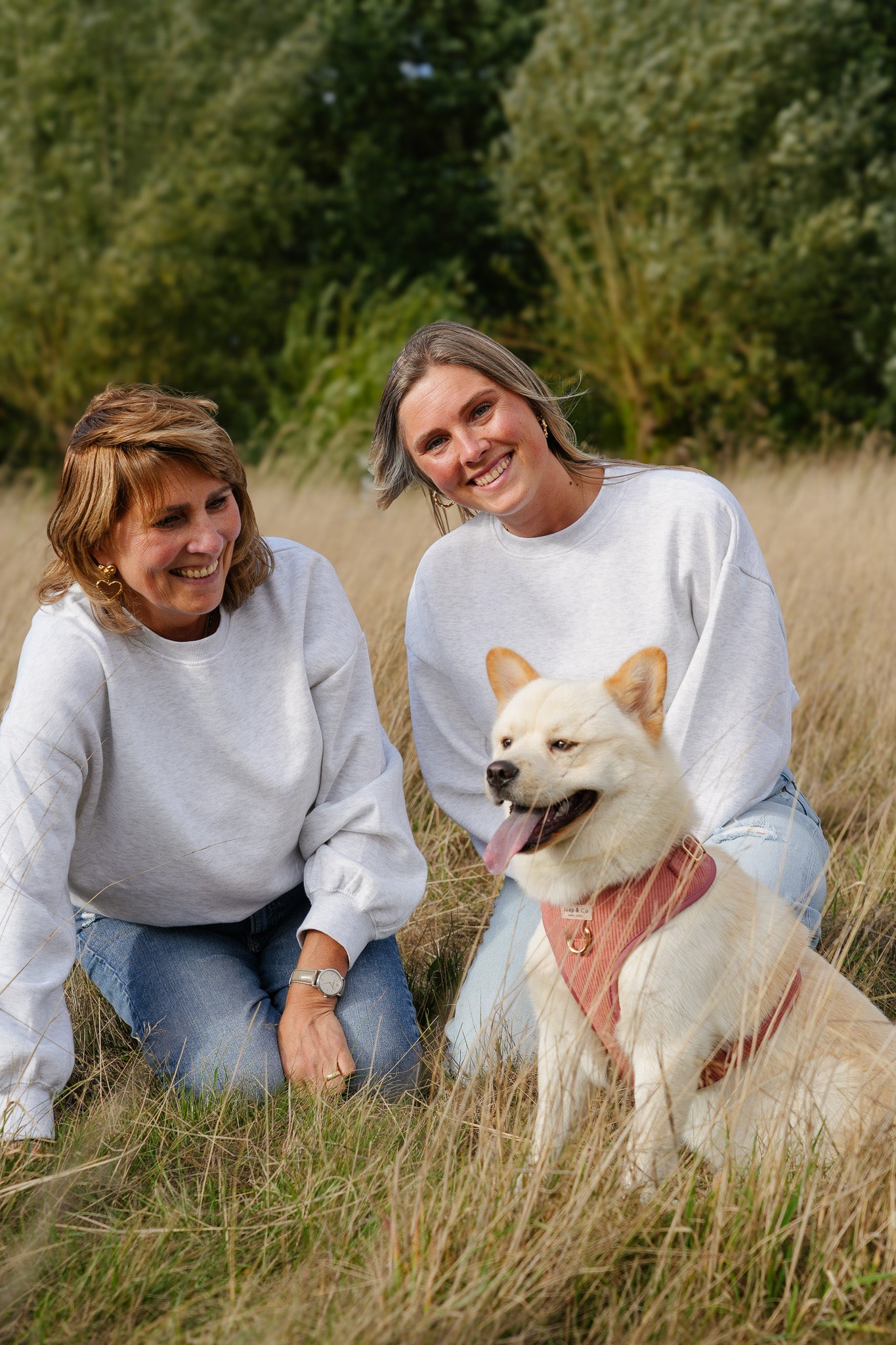 Golden Trails - Set Tuigje