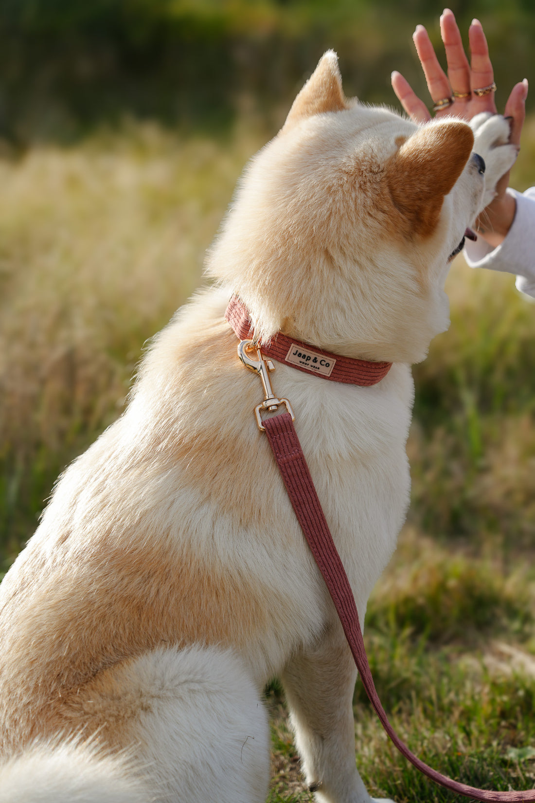 Golden Trails - Set Halsband