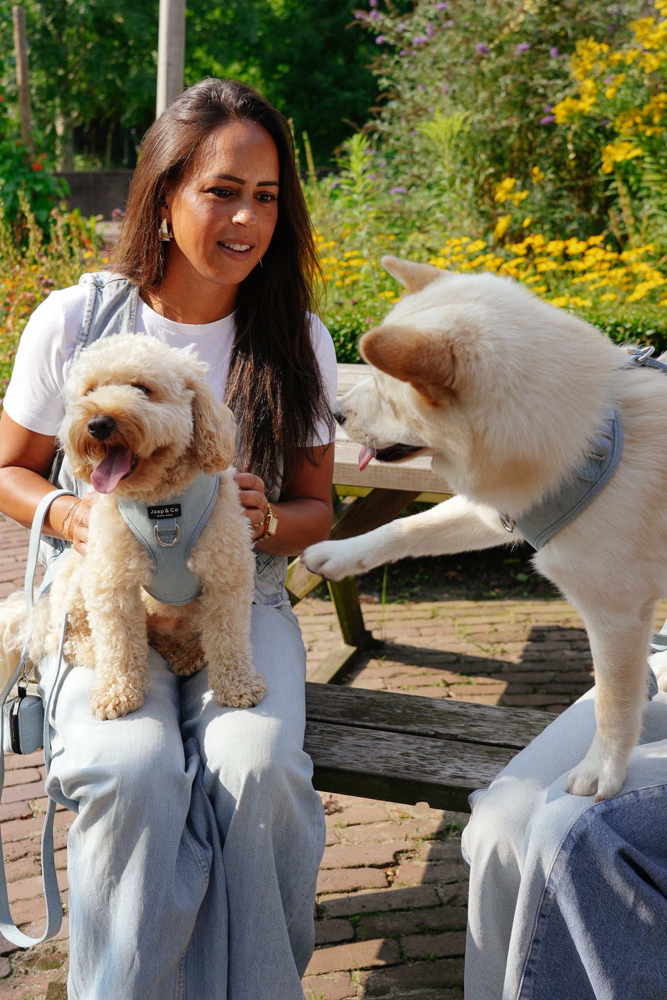 Denim Days - Hondentuigje