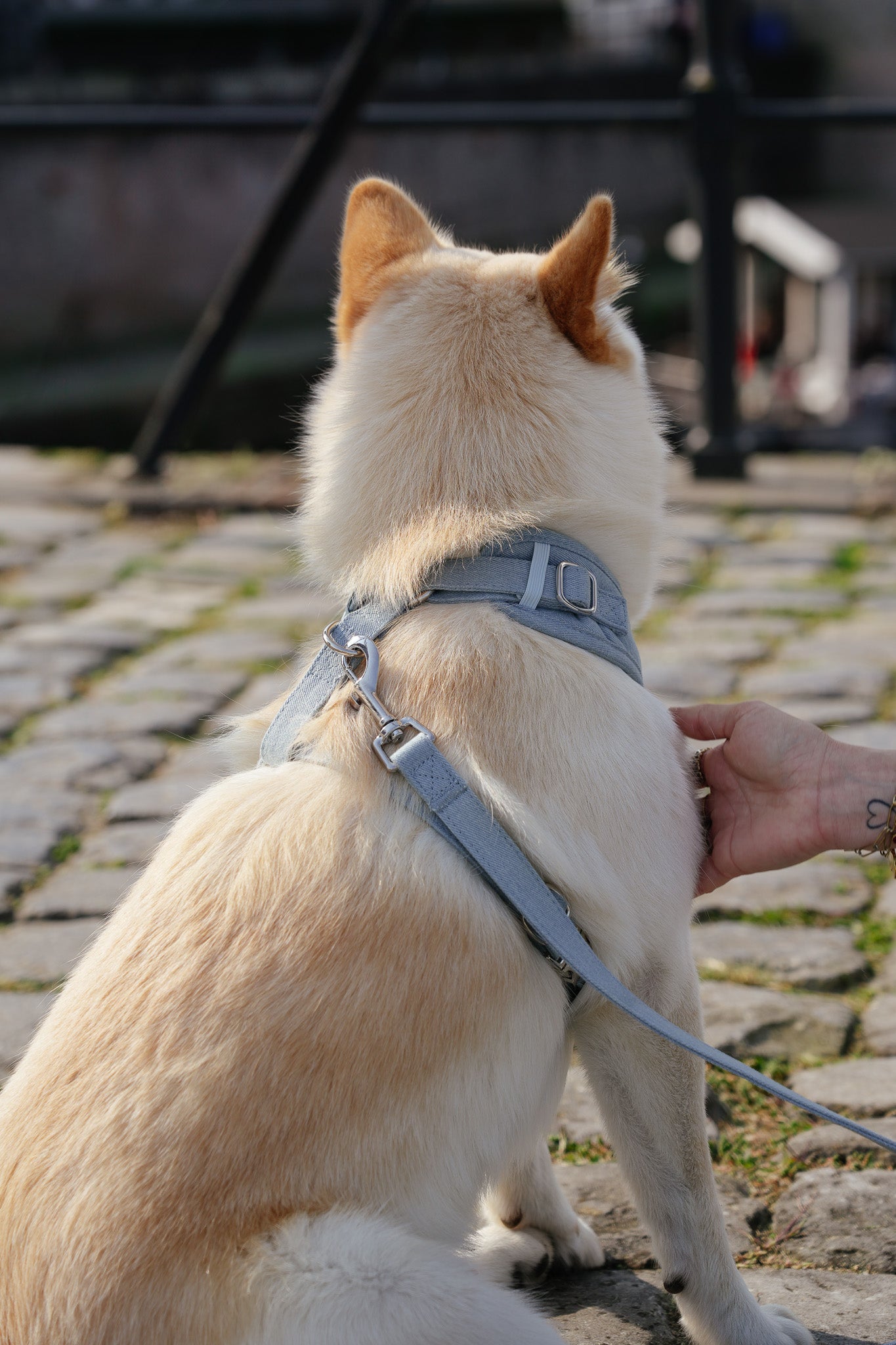 Denim Days - Set Tuigje