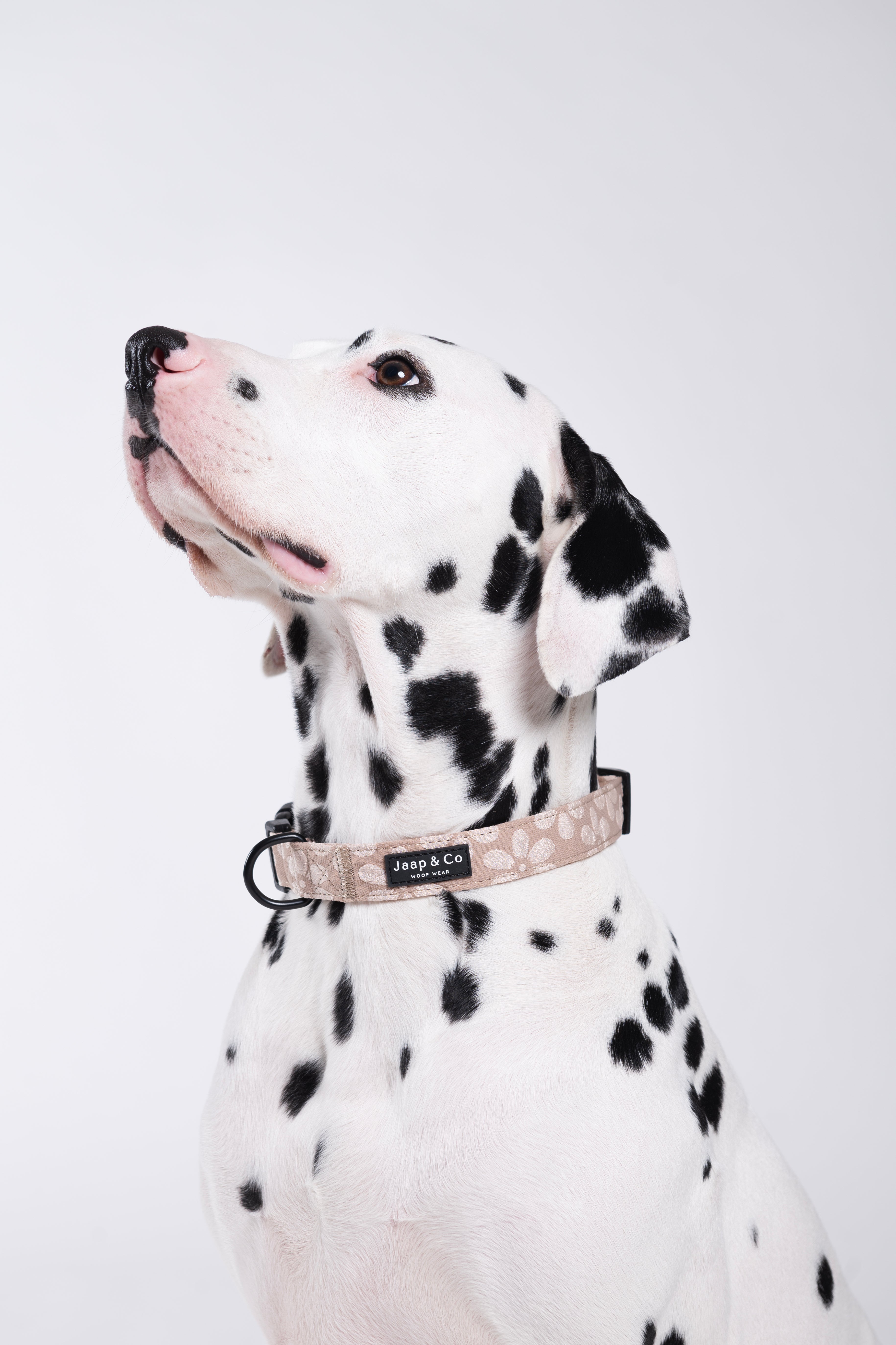 Blush Elegance - Set Halsband