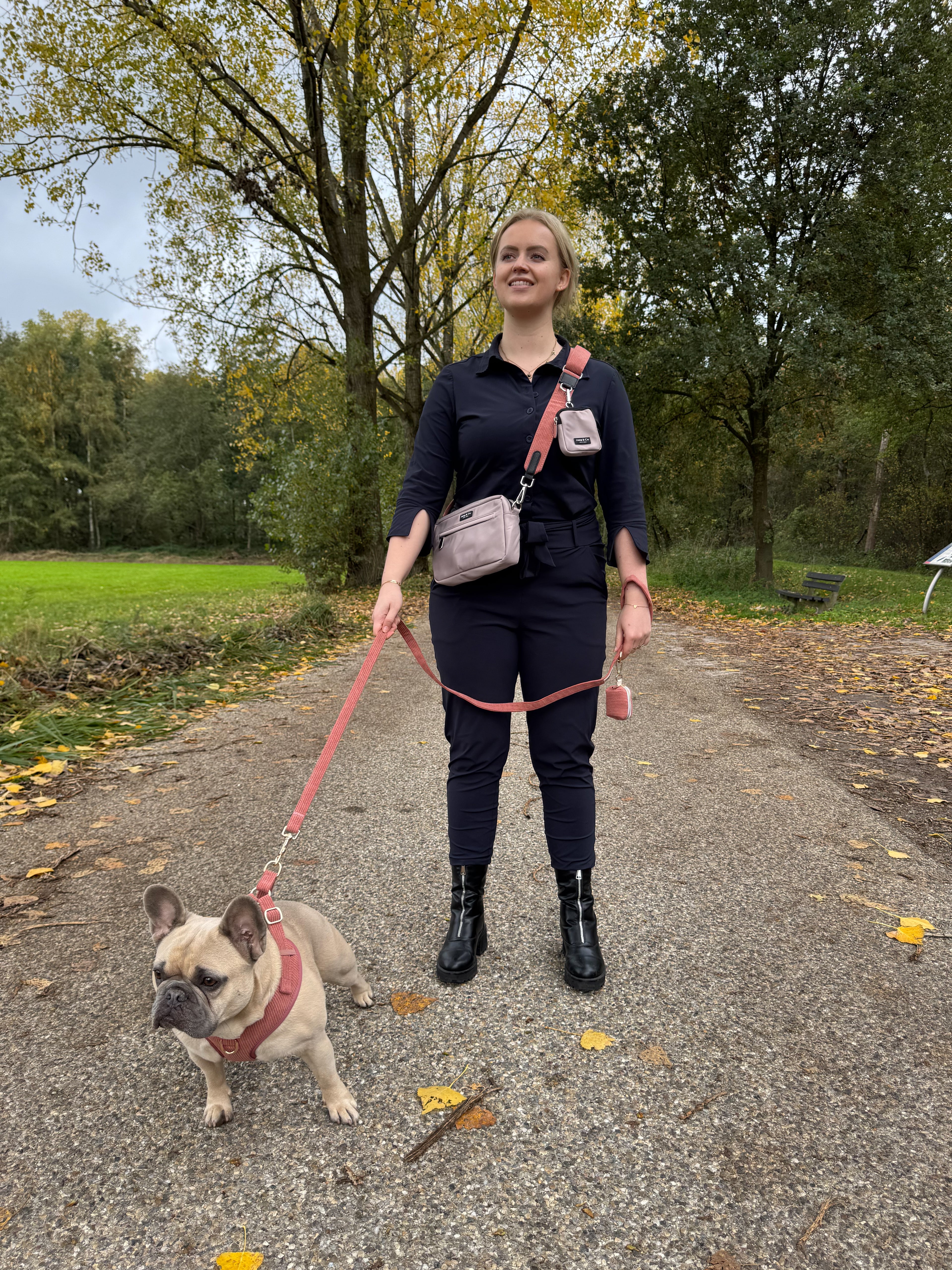 Latte Machiato Dogmom Bag - Golden Trails Strap