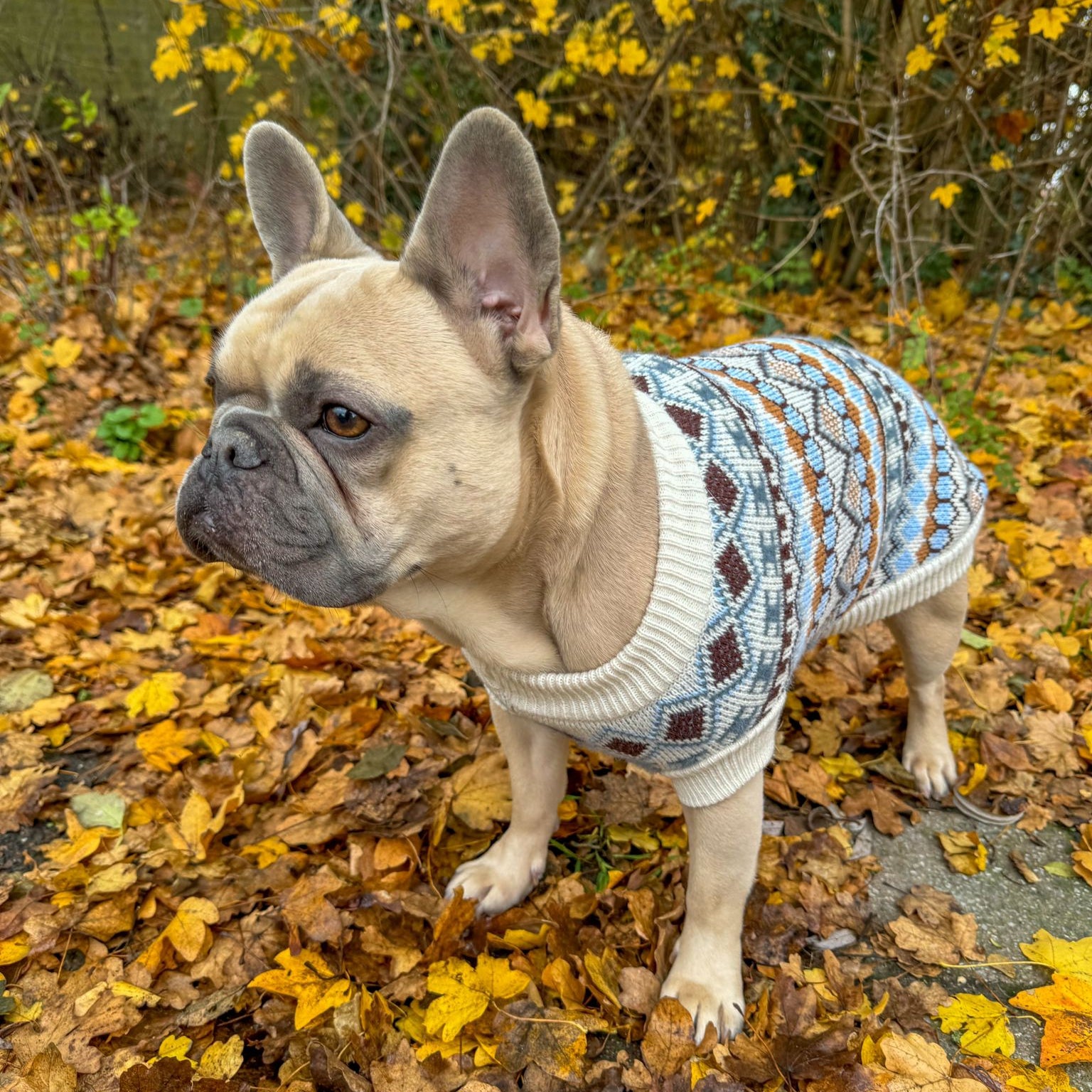 Warme Wintertrui voor Honden – Comfortabel, Zacht en Praktisch