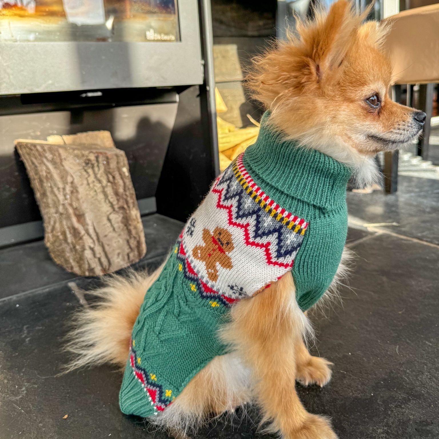 Kersttrui voor Honden – Gingerbread Cookies