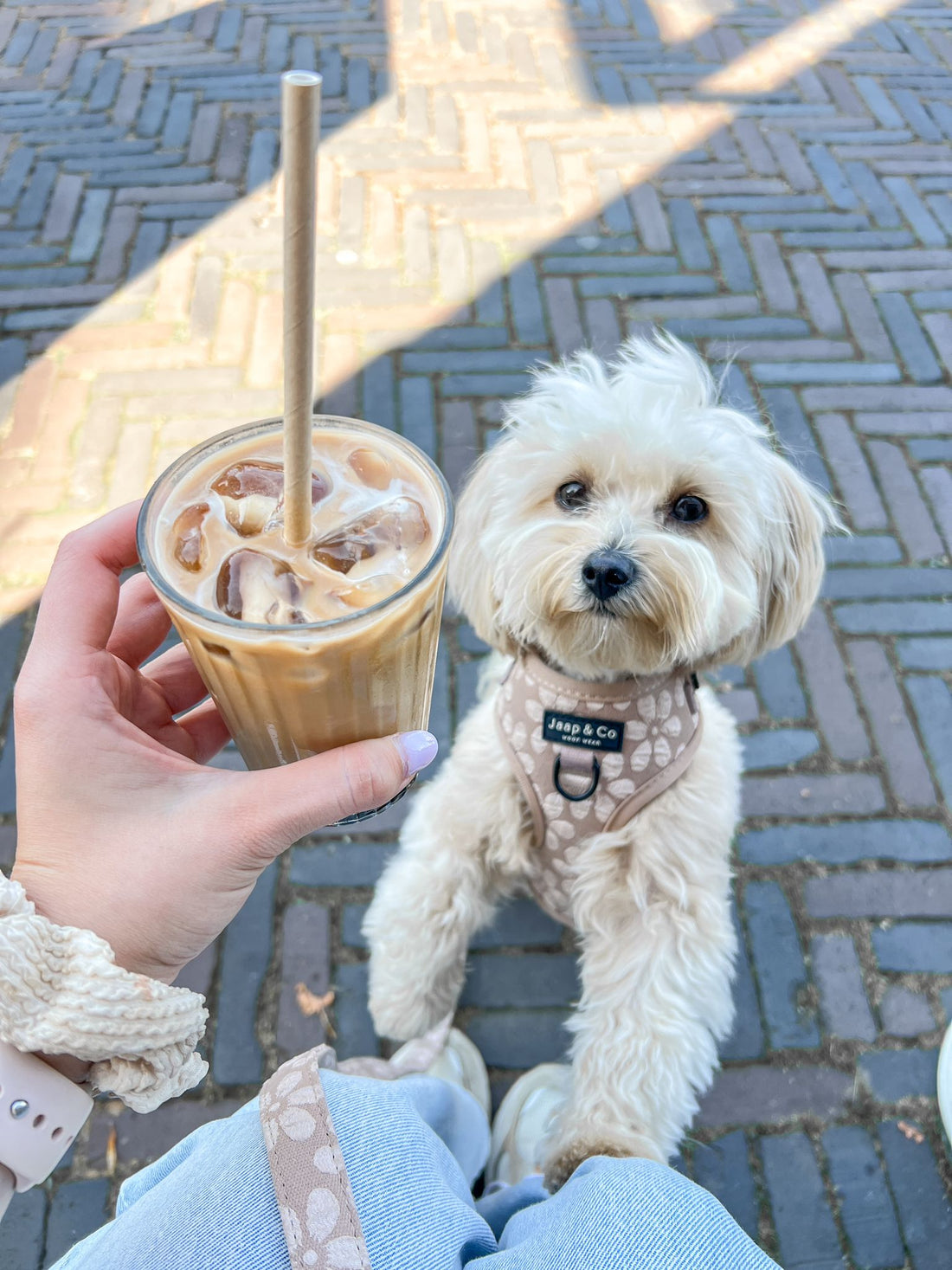 Blush Elegance - Set Tuigje