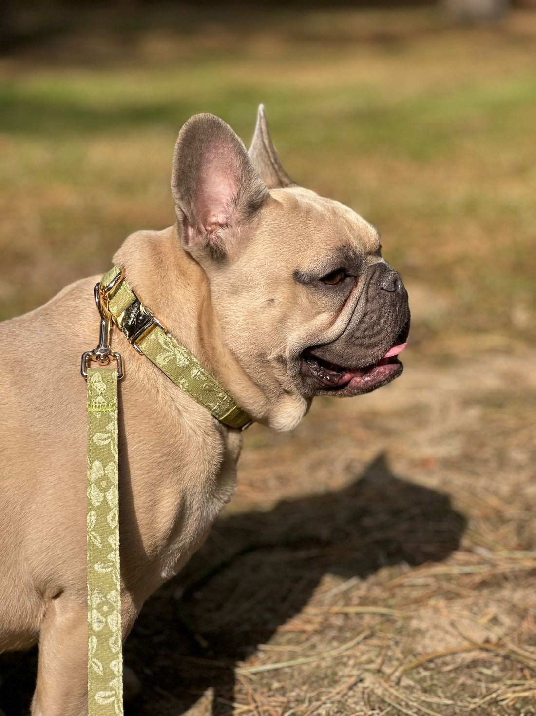 Botanical Glow - Set Halsband