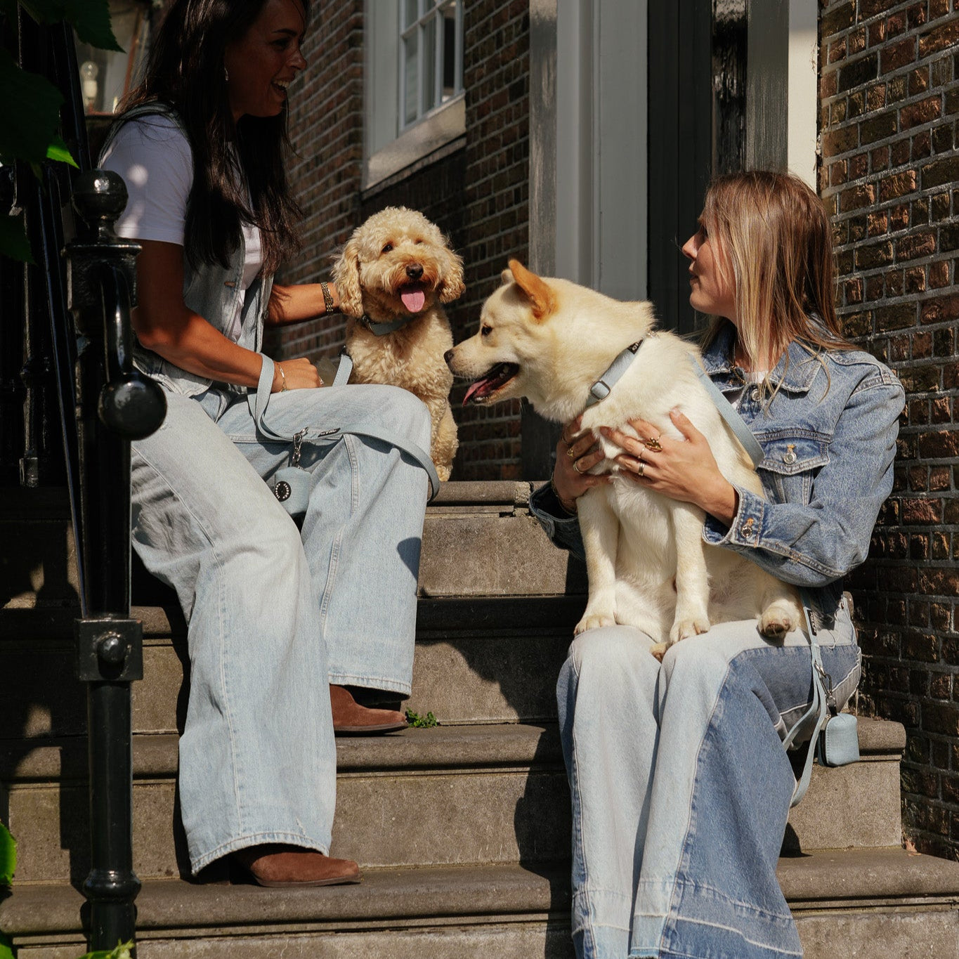 Baasjes matchen met honden in denim. Honden dragen een lichtblauwe denim kleurige halsband, riem en poepzakjeshouder van de Denim Days Jaap & Co collectie