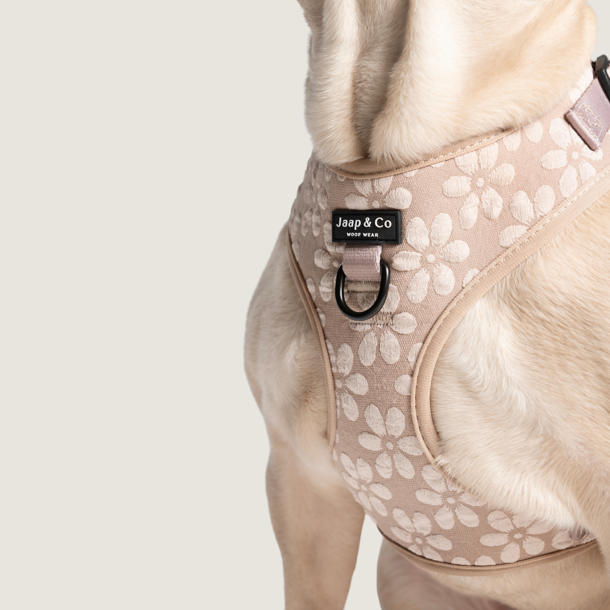 Beige hondentuigje met bloemenprint uit de Blush Elegance collectie van Jaap & Co – gedragen door hond, close-up weergave