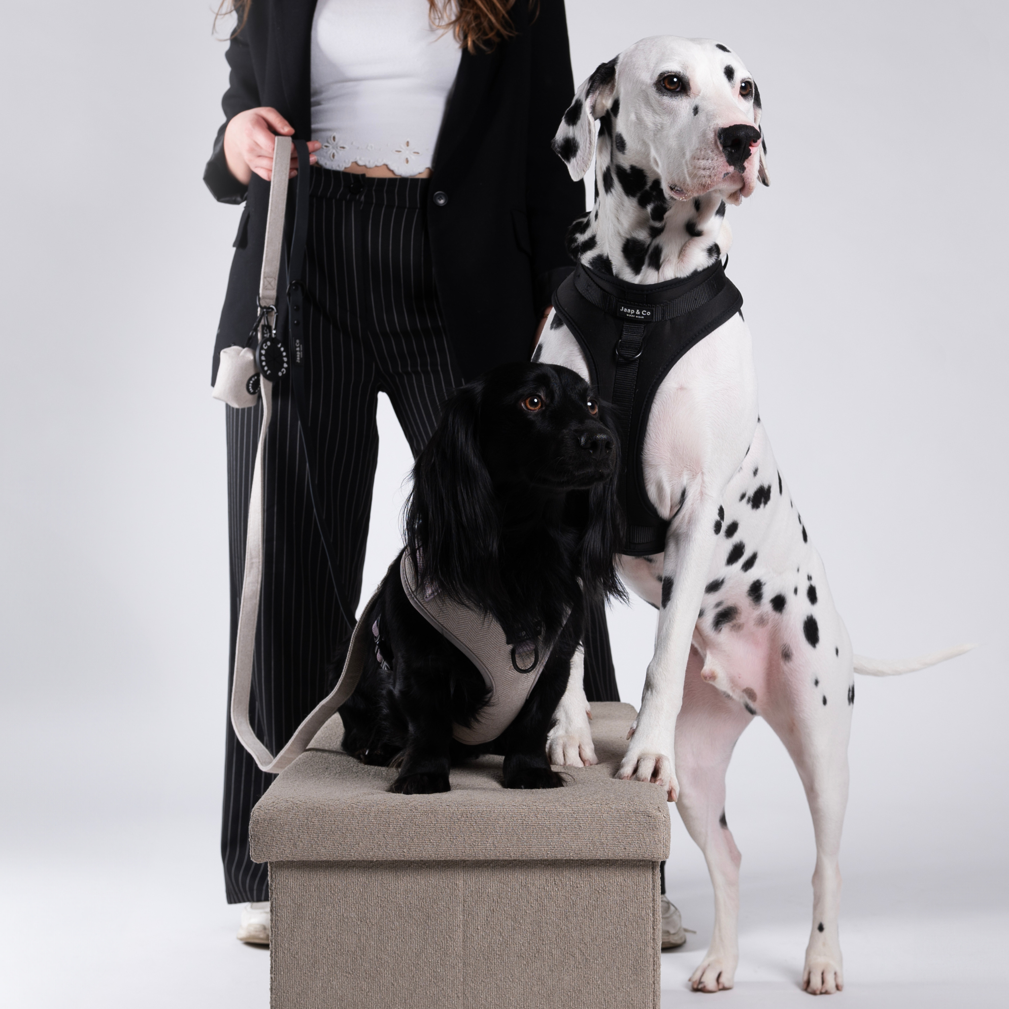 Model met een zwarte teckel en dalmatier, ze dragen de Classic Beige en de Black Paws Waterproof collectie - geschikt voor kleine tot grote honden, stijlvol en comfortabel.