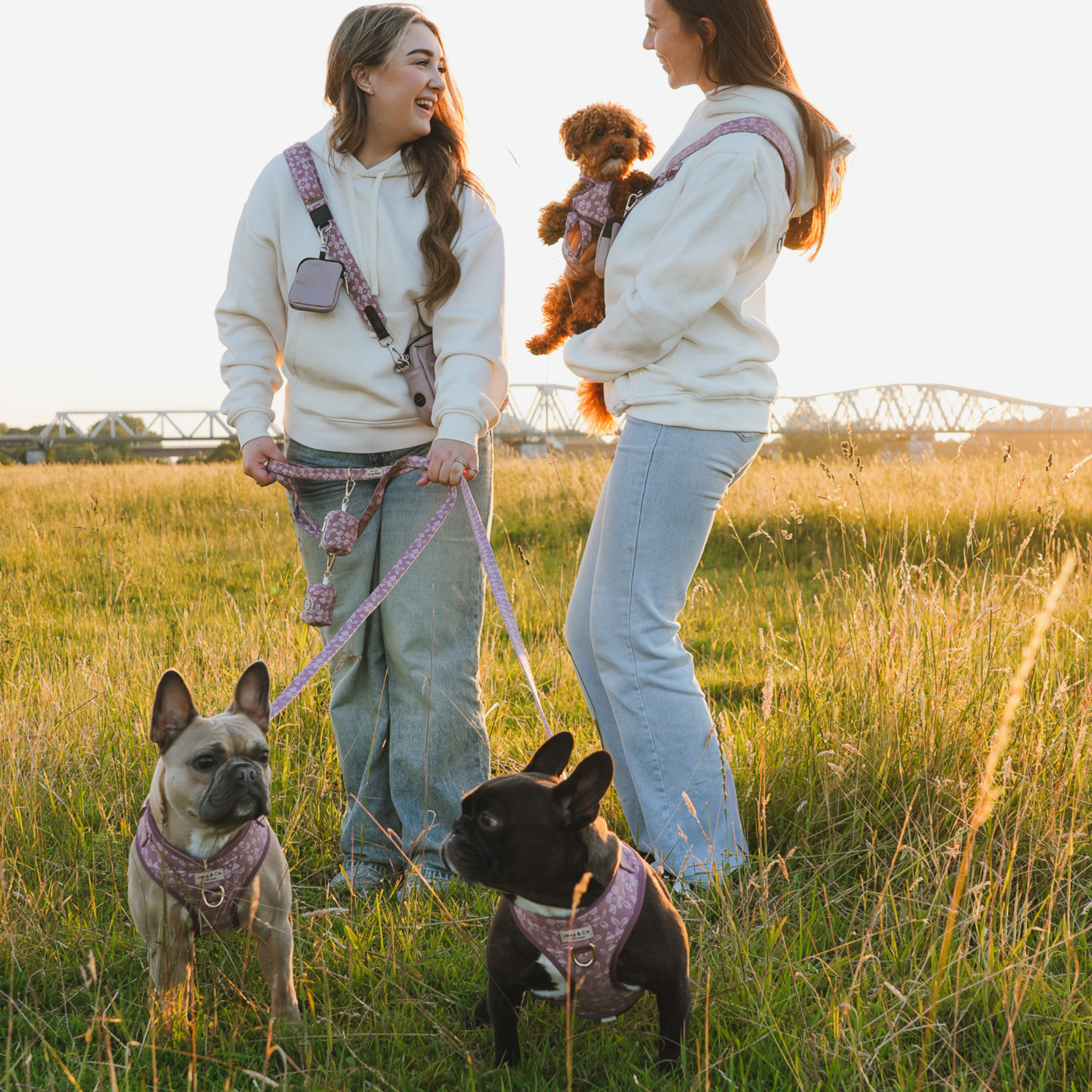 Twee modellen met drie honden volledig in de Rose Dusk collectie van Jaap & Co waaronder de hondenriem in de prachtige oud roze kleur met lichtroze bloemenprint