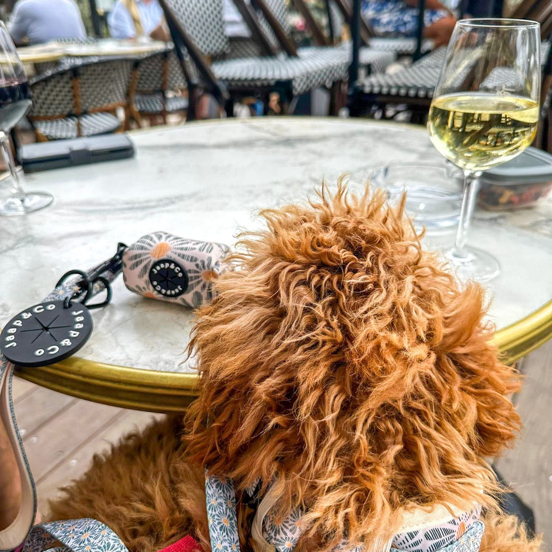 Poepzakjesclip met stevige sluiting – perfect voor actieve wandelingen