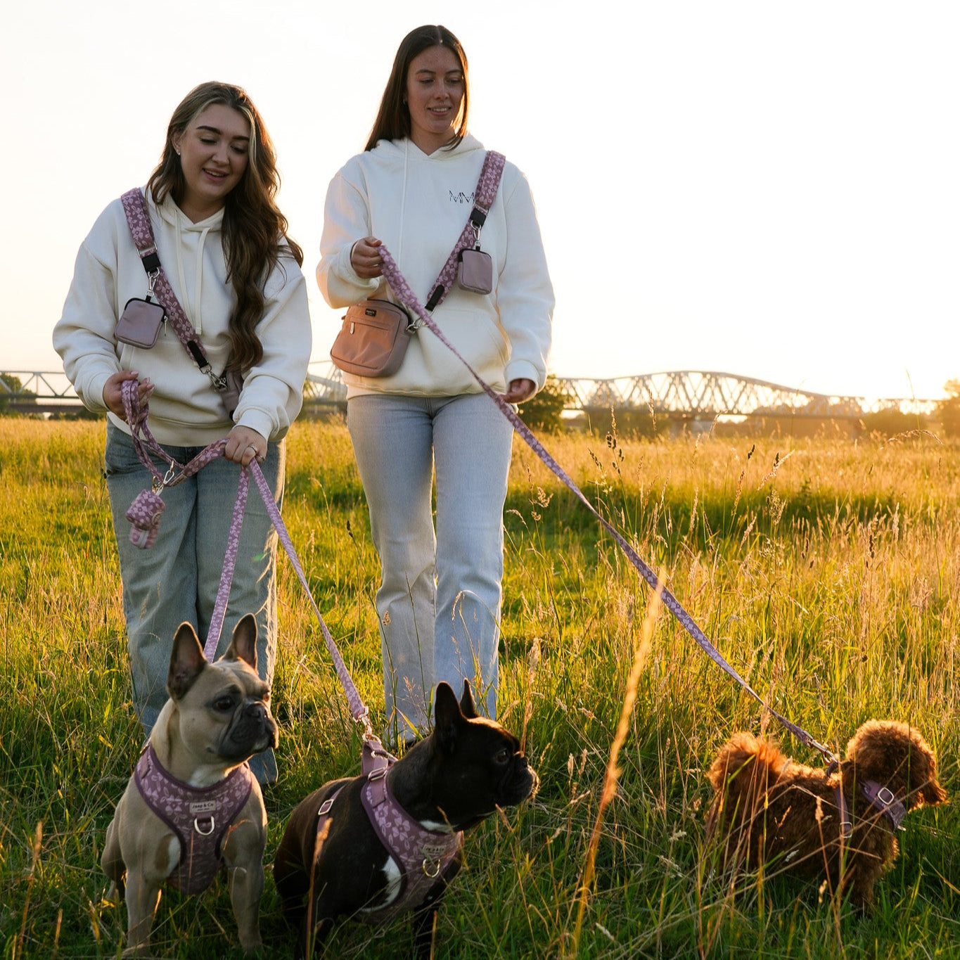 Rose Dusk van Jaap & Co set met hondentuigje, riem en poepzakjeshouder. Een oudroze kleur met licht roze bloemenprint.