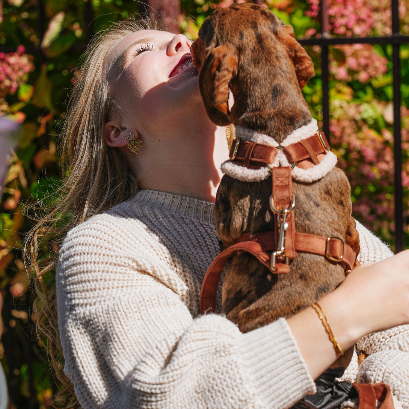 Bovenkant van de Soft Season hondentuigje, een prachtige bruine velvet stof met aan de binnenkant een beige teddy stof