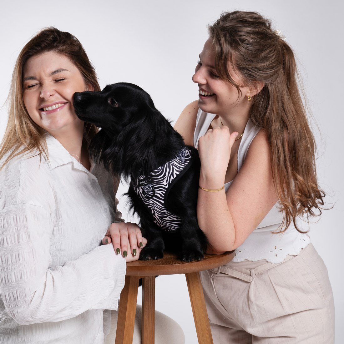 Twee modellen samen met zwarte teckel. Hond probeert model kusje te geven en draagt het zebra chic hondentuigje van Jaap & Co