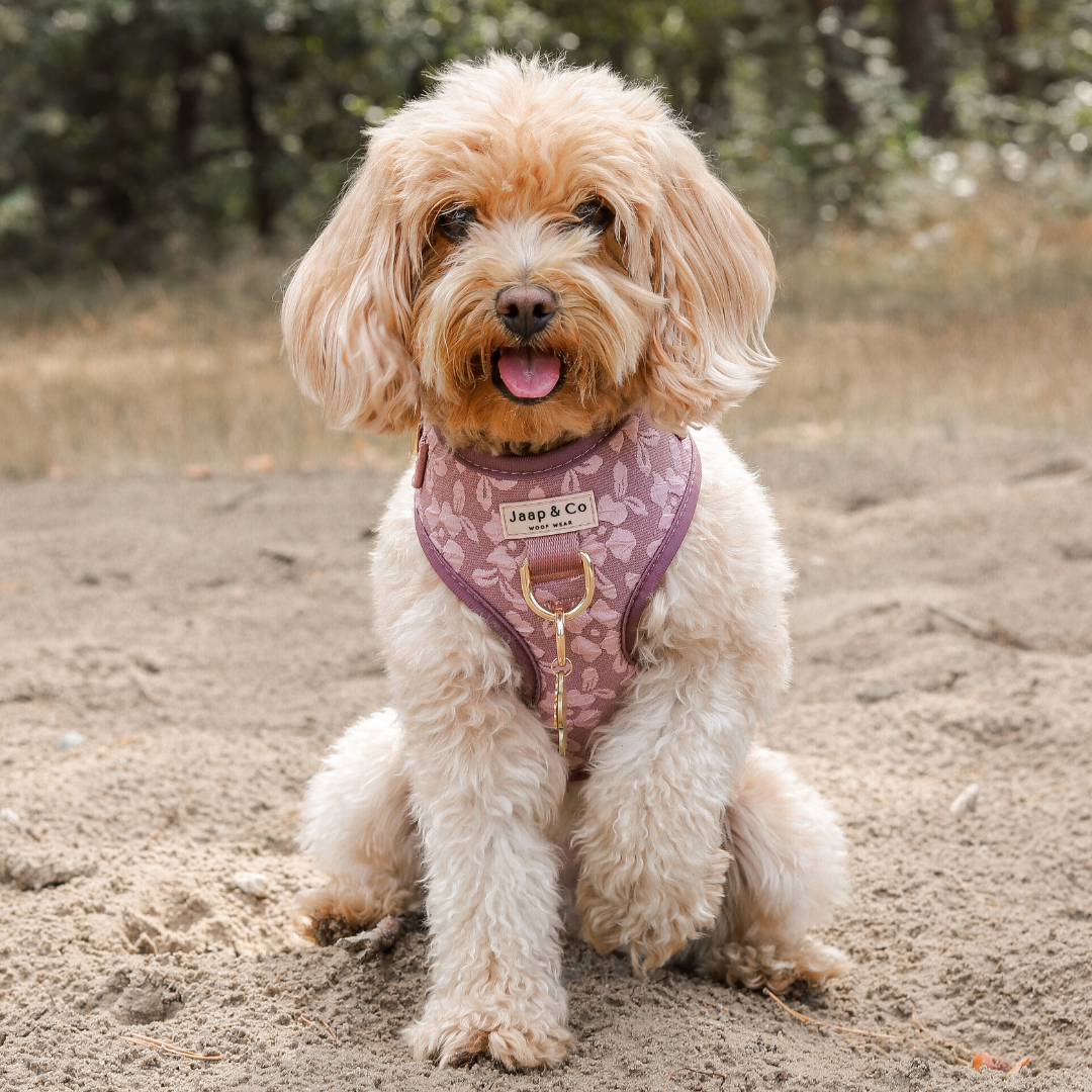 Rosé Dusk - Harness Set (GRÖSSEN XS, S SIND VORBESTELLUNGEN)