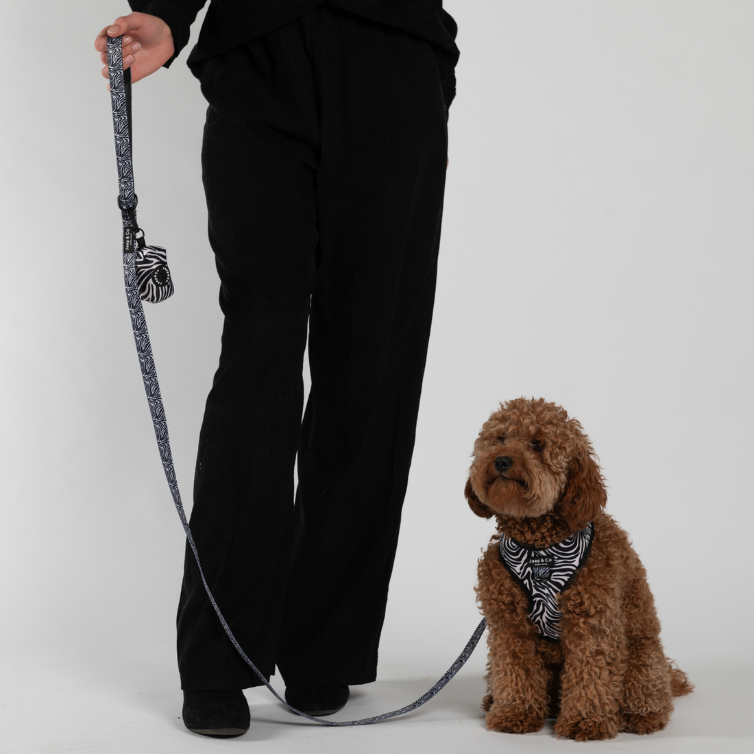 Zebra Chic poepzakjeshouder gecombineerd met bijpassende riem en hondentuigje