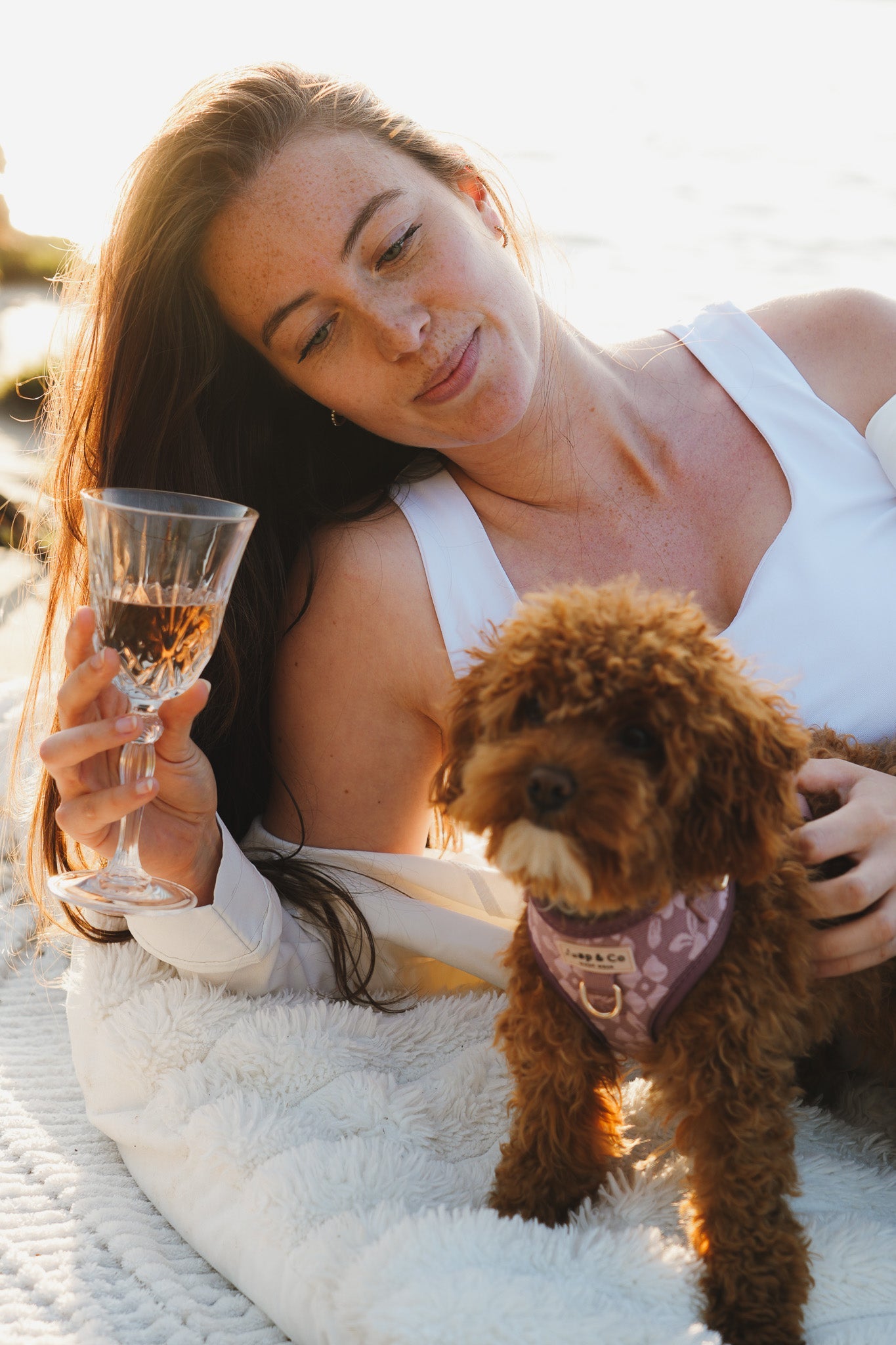 De leukste Valentijn date-ideeën met je hond (die je écht wilt doen)