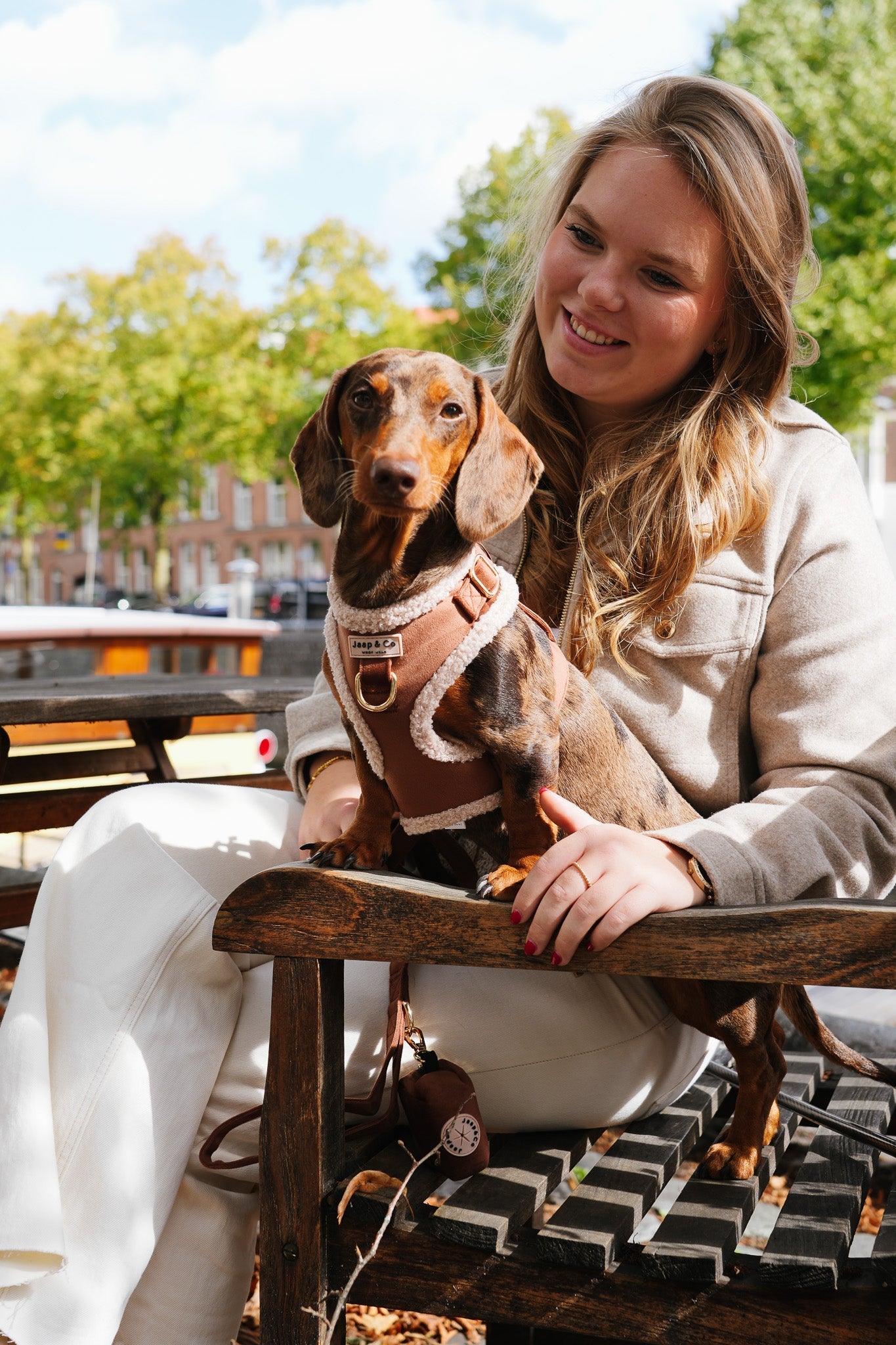 Nieuw jaar, nieuwe avonturen: ontdek het perfecte tuigje voor je hond