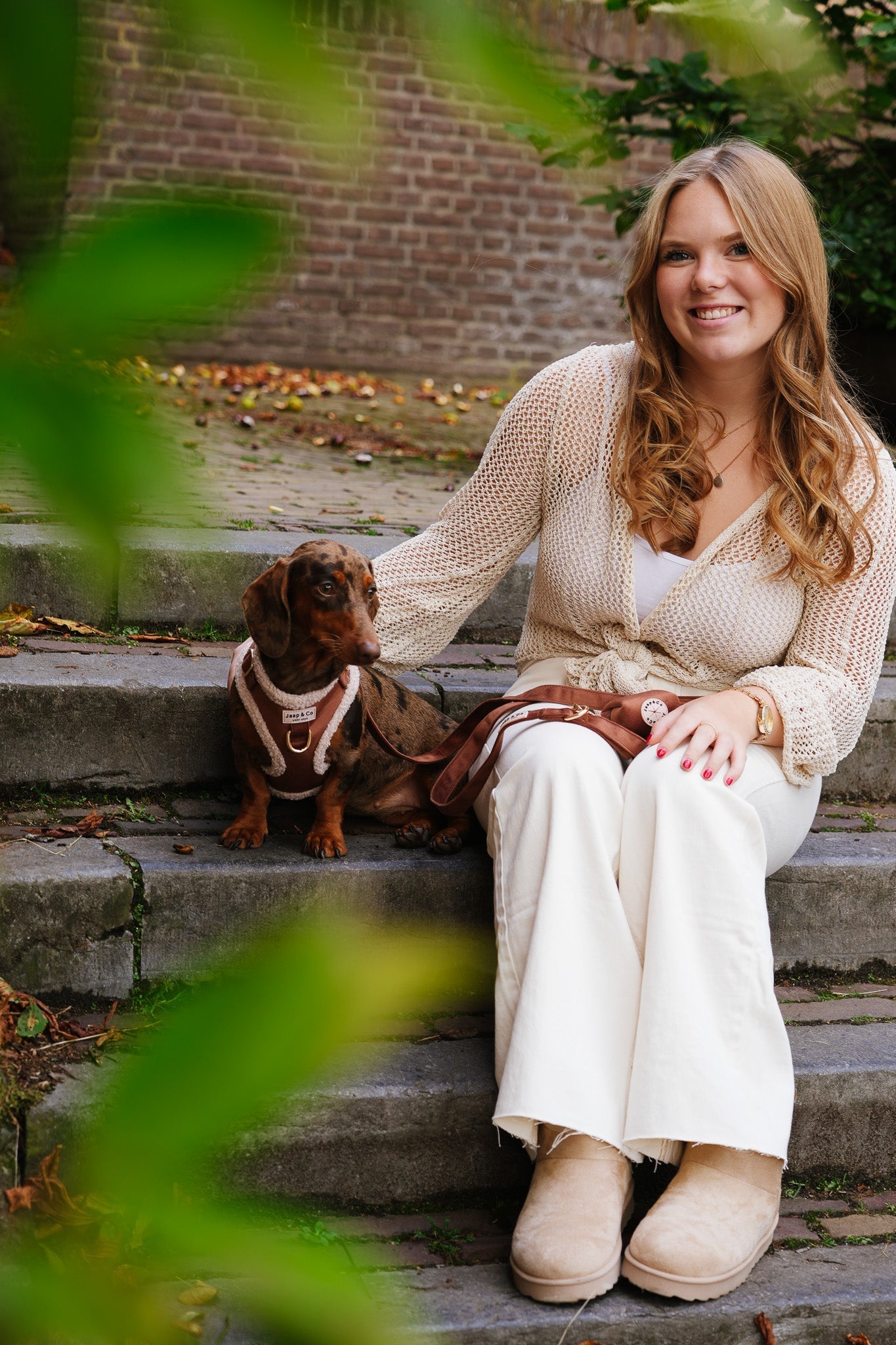 Zand tussen de poten: ultiem plezier tijdens strandwandelingen met je hond in de winter