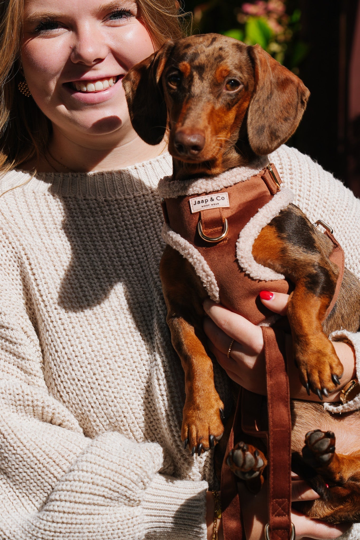 Het perfecte wintertuig: comfort en gezelligheid voor je viervoeter&
